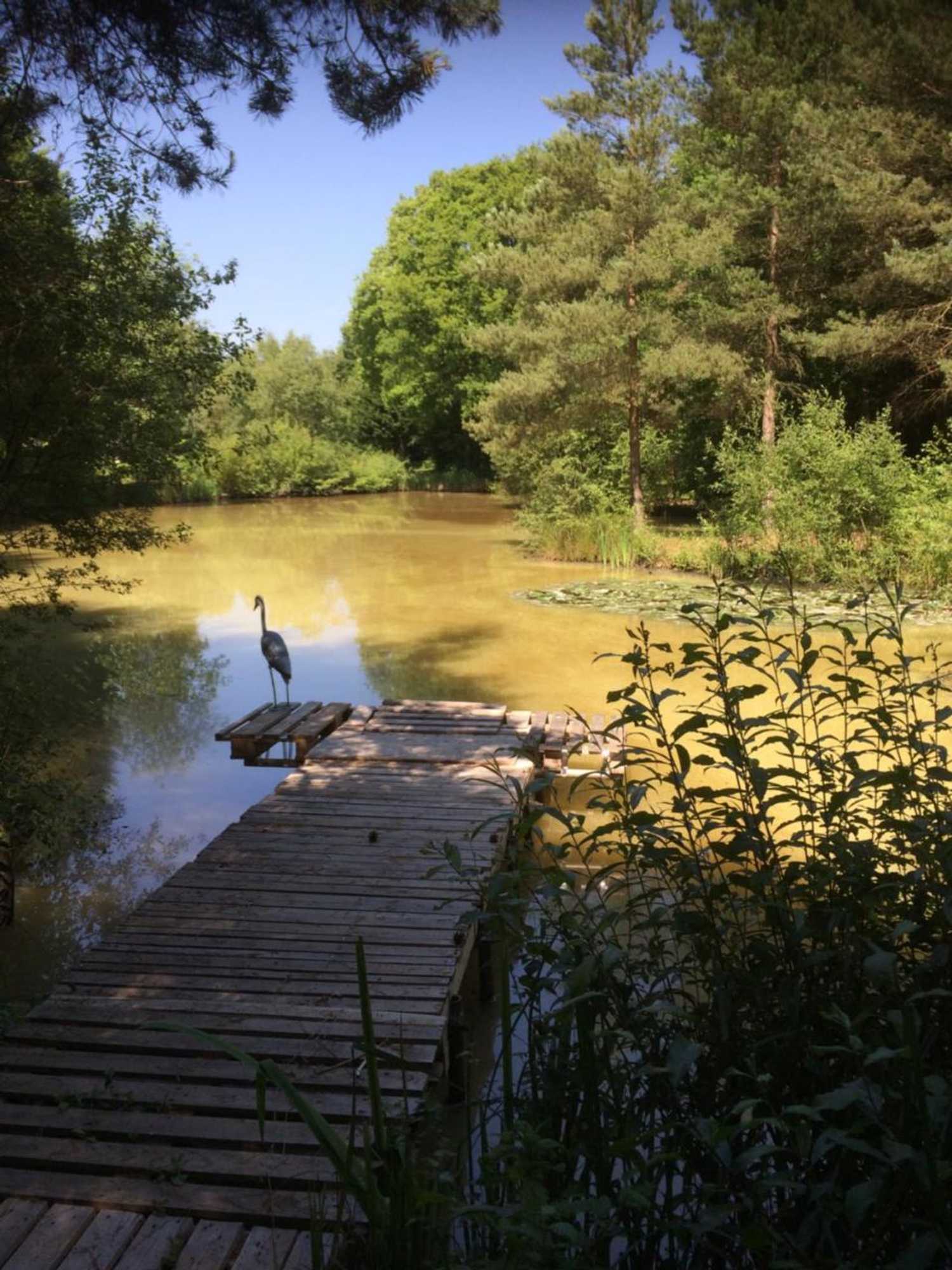 Gift card for The Firs