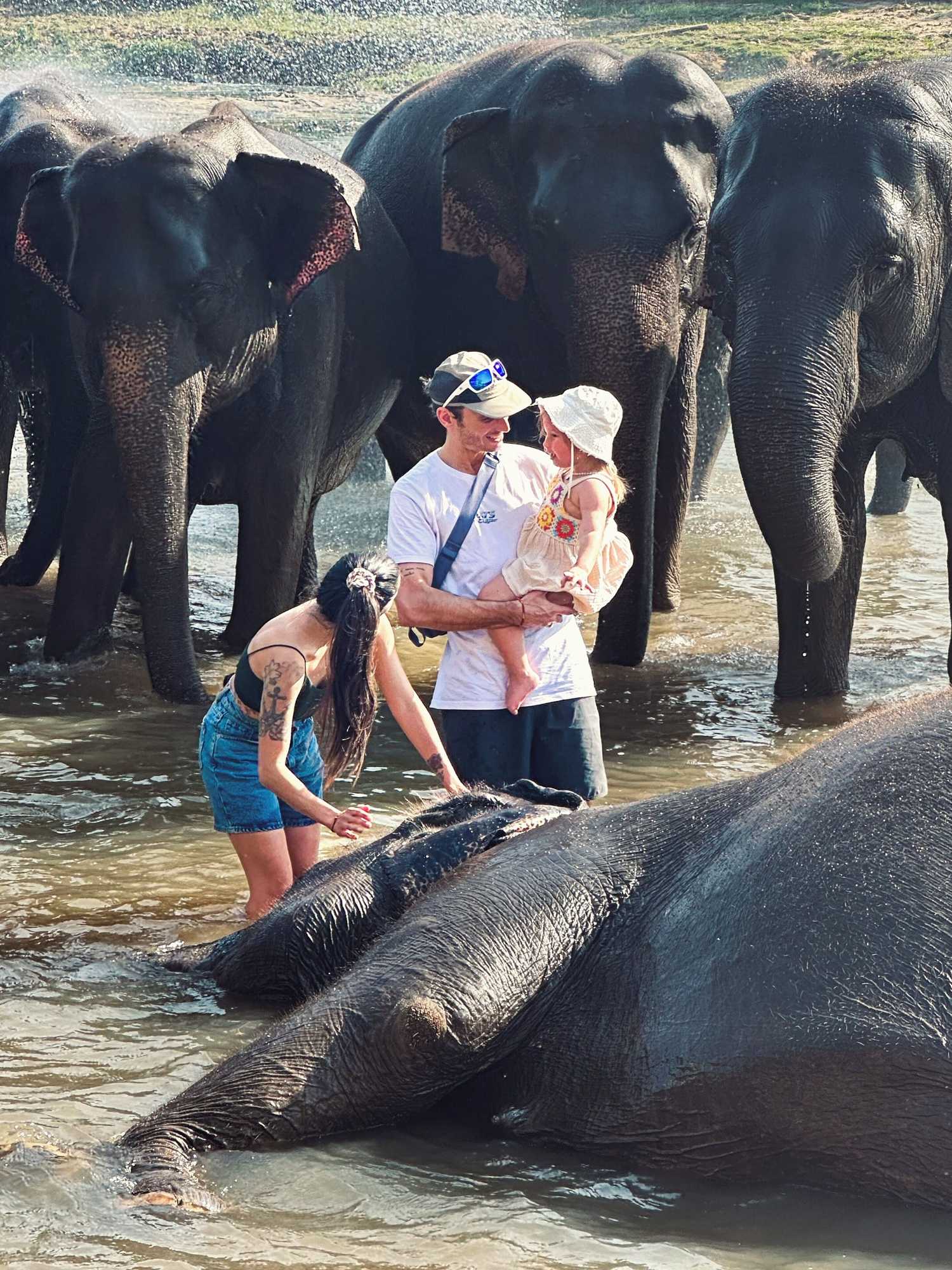 Gift card for Elepath Lodge - Pinnawala