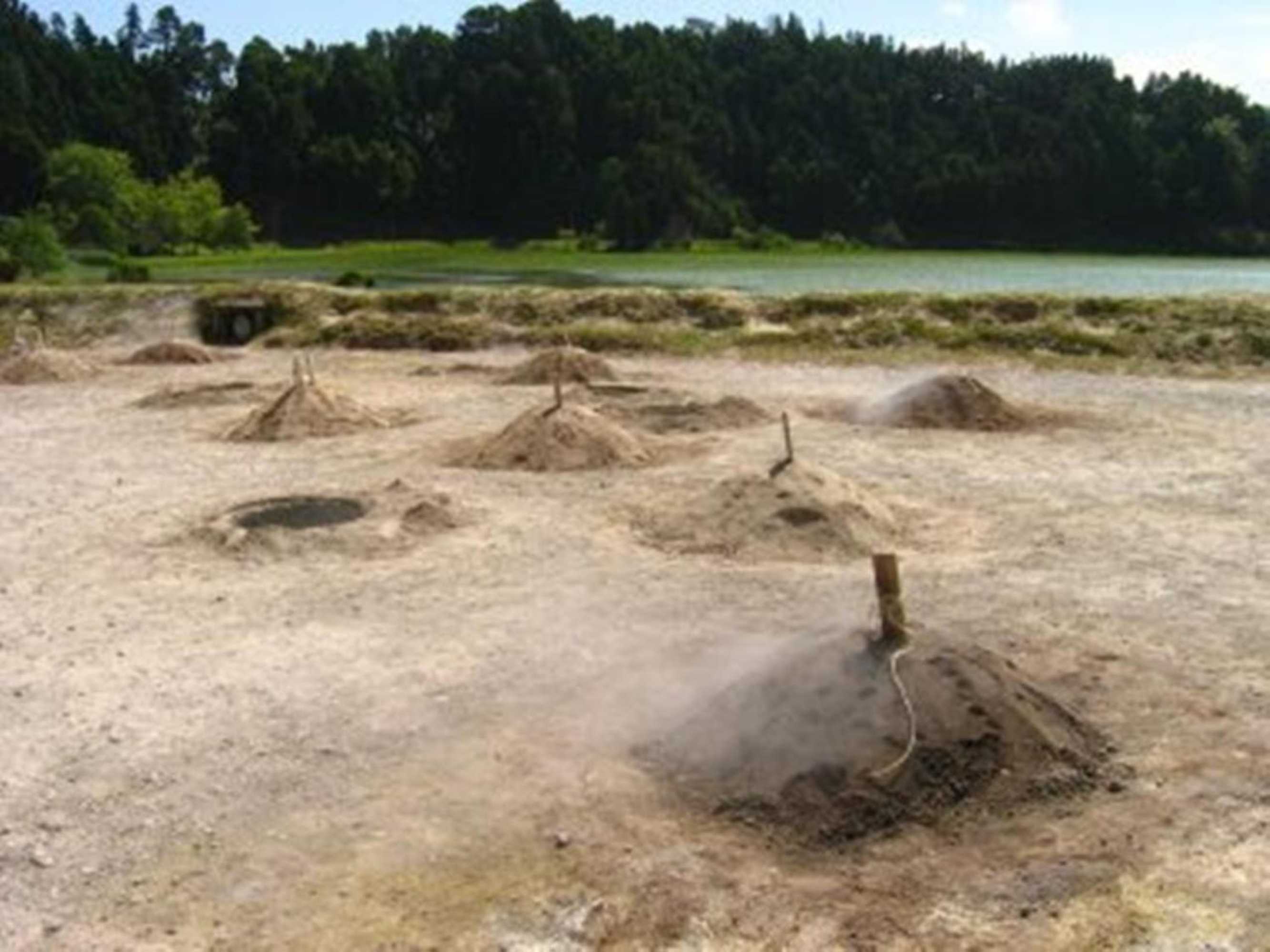 Gift card for Casa da Beija - House Azores