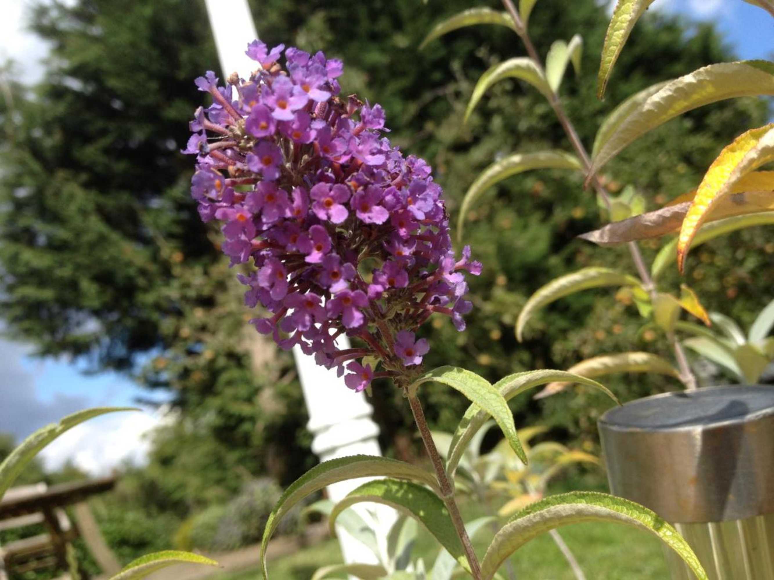 Gift card for The Stables Bed And Breakfast At Pear Tree Cottage