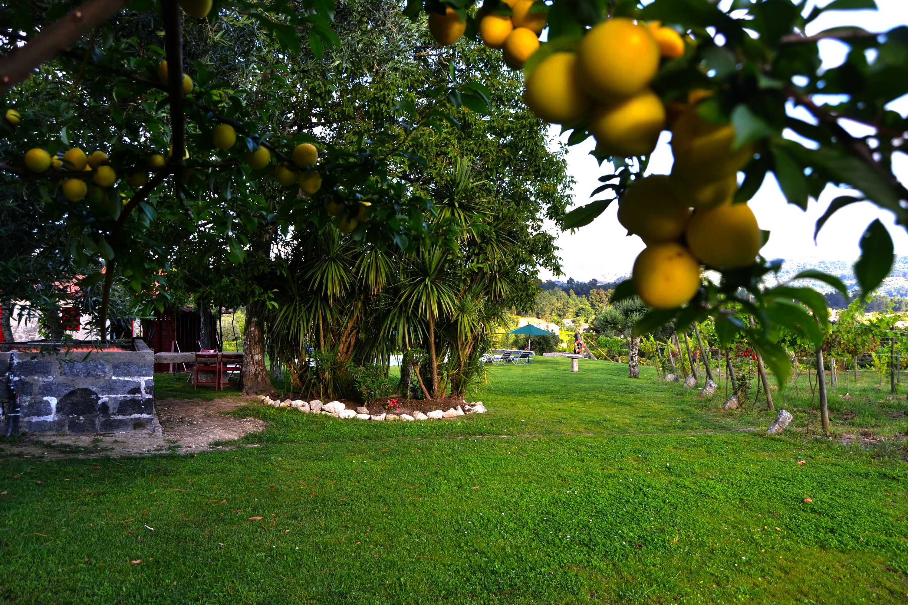 Gift card for Quinta do Olival