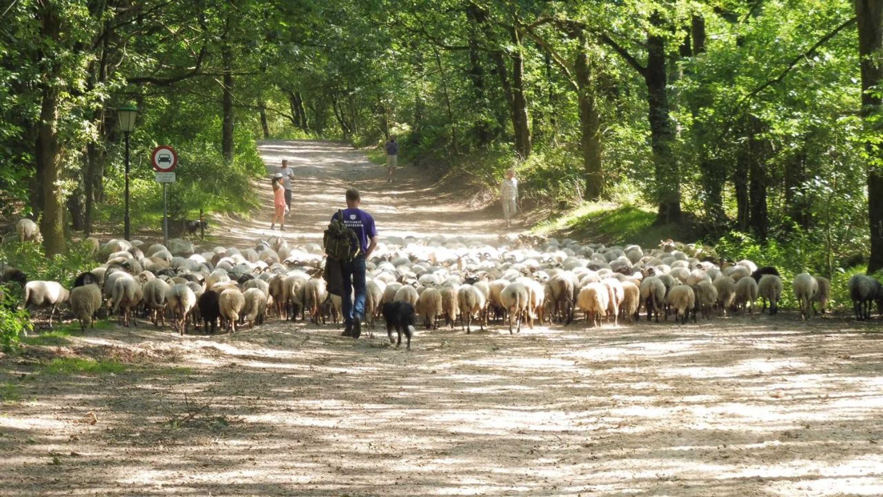 Gift card for Jelly's Hoeve (adults Only)