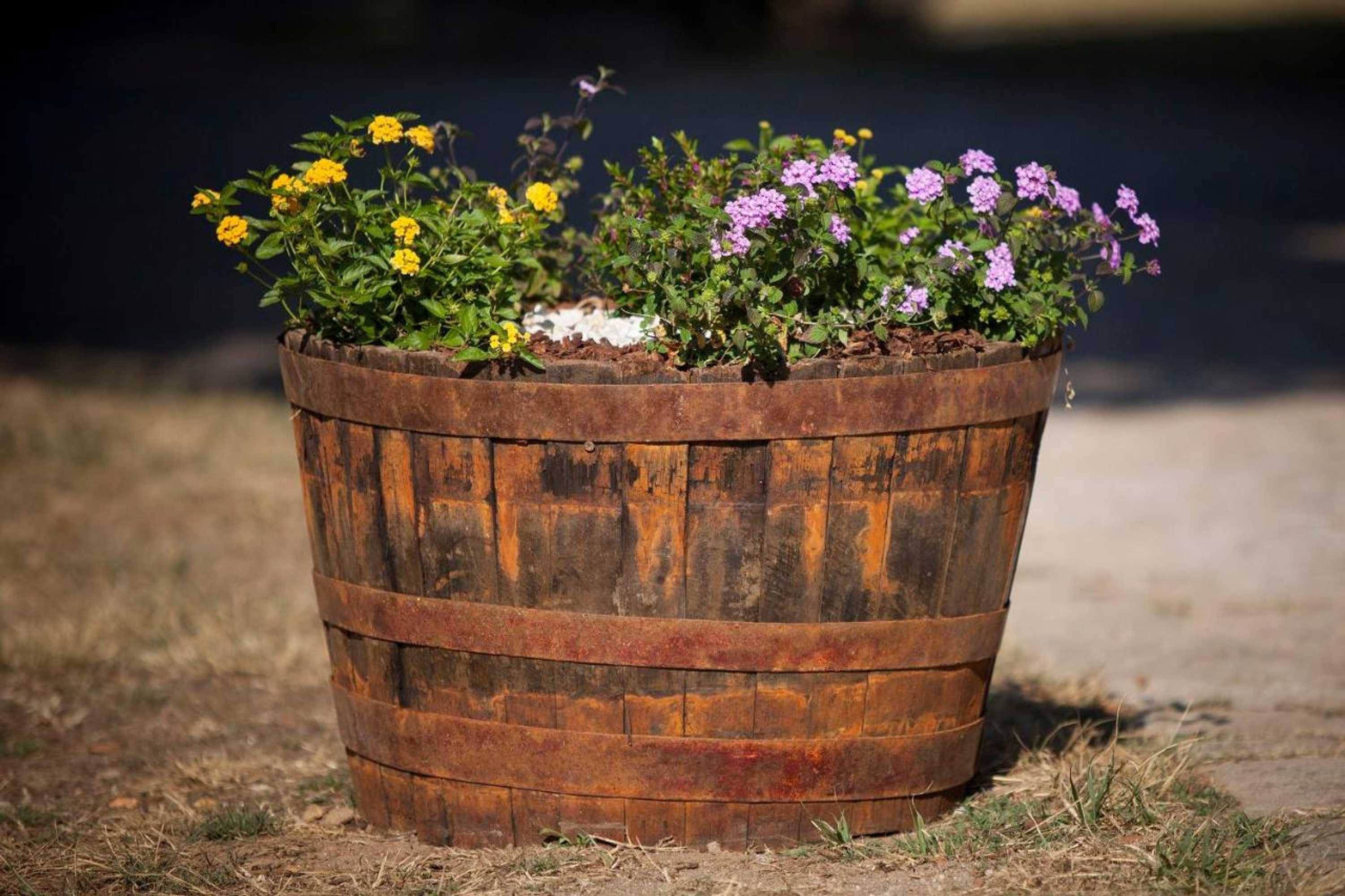 Gift card for Aldeamento Turístico do Camarido, Nature & Beach Resort Gift card for Aldeamento Turístico do Camarido, Nature & Beach Resort