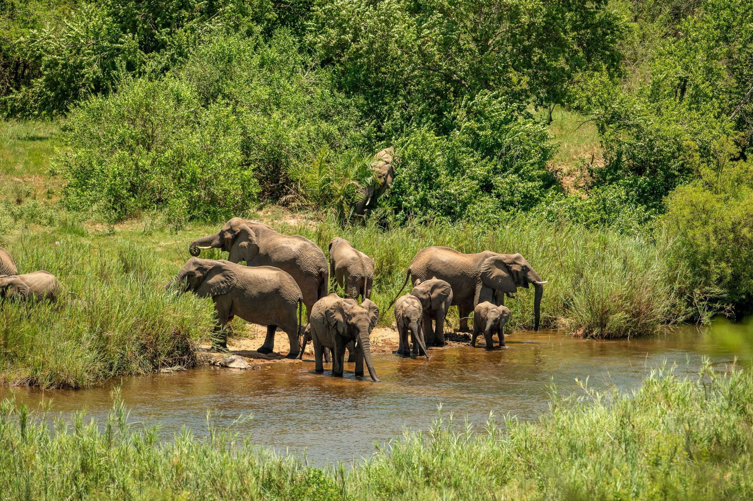 Gift card for Leopard Sands, Kruger Park