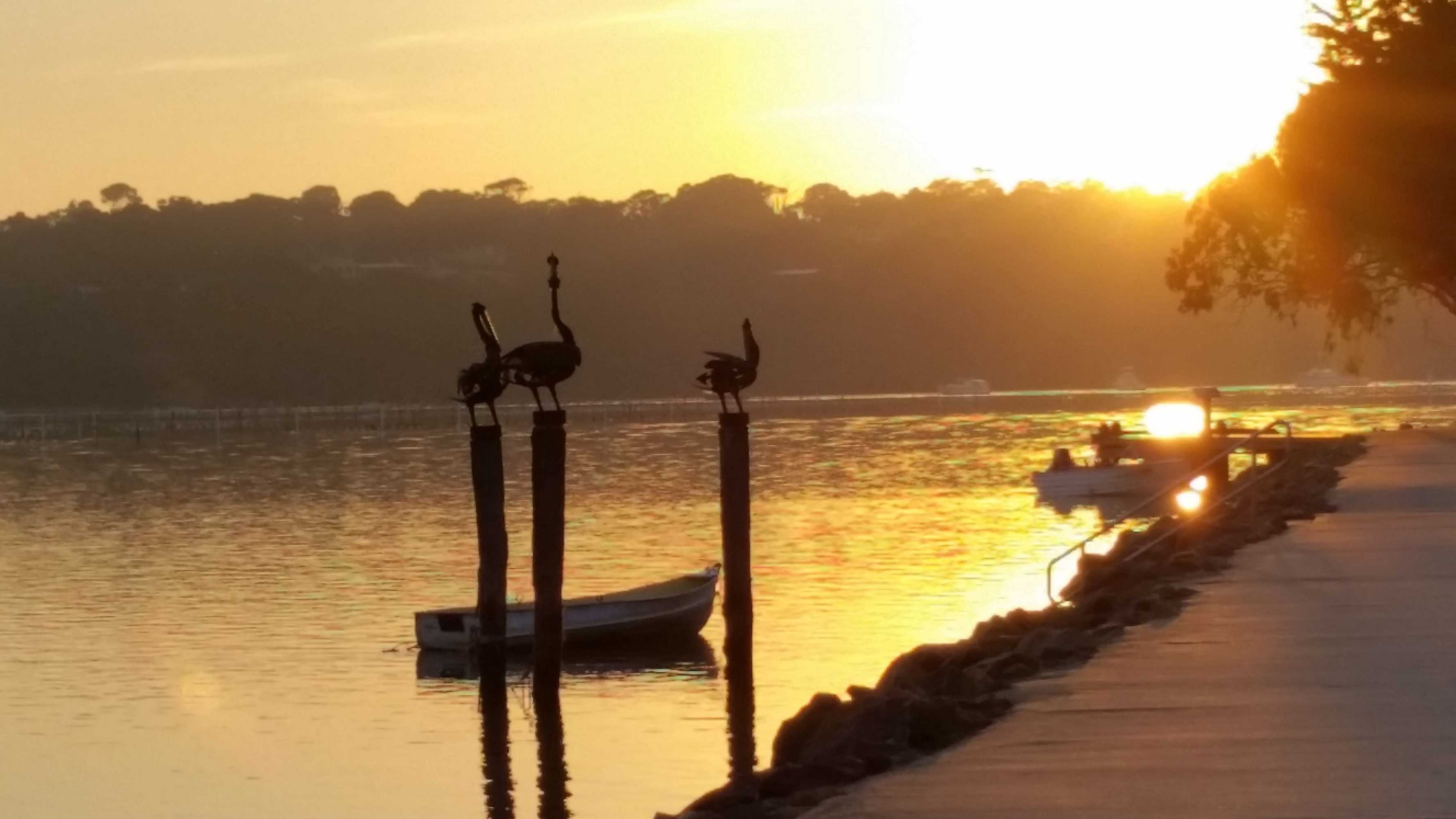 Gift card for Bayview Apartments Merimbula Gift card for Bayview Apartments Merimbula