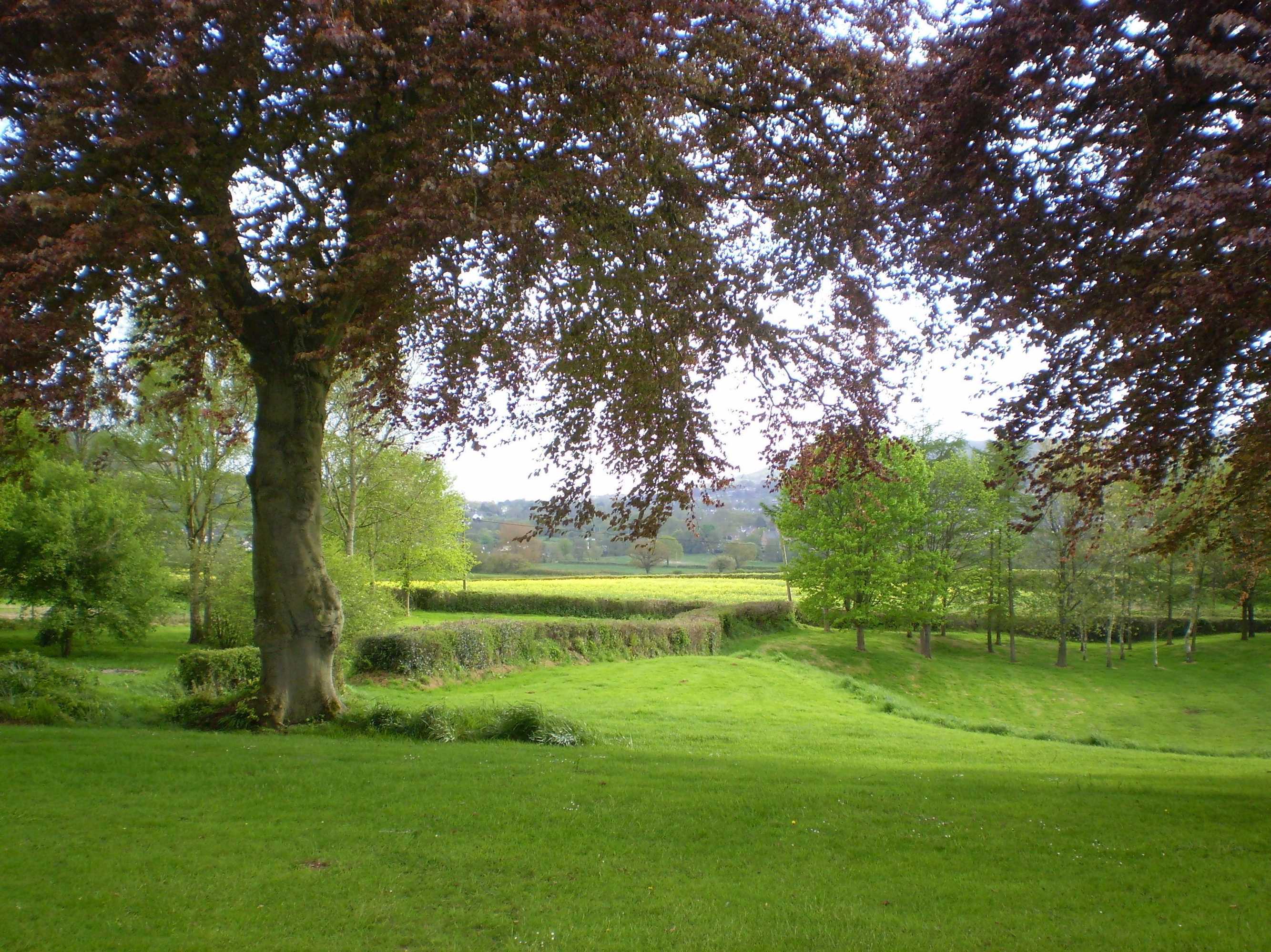 Gift card for Buckley Farmhouse B & B