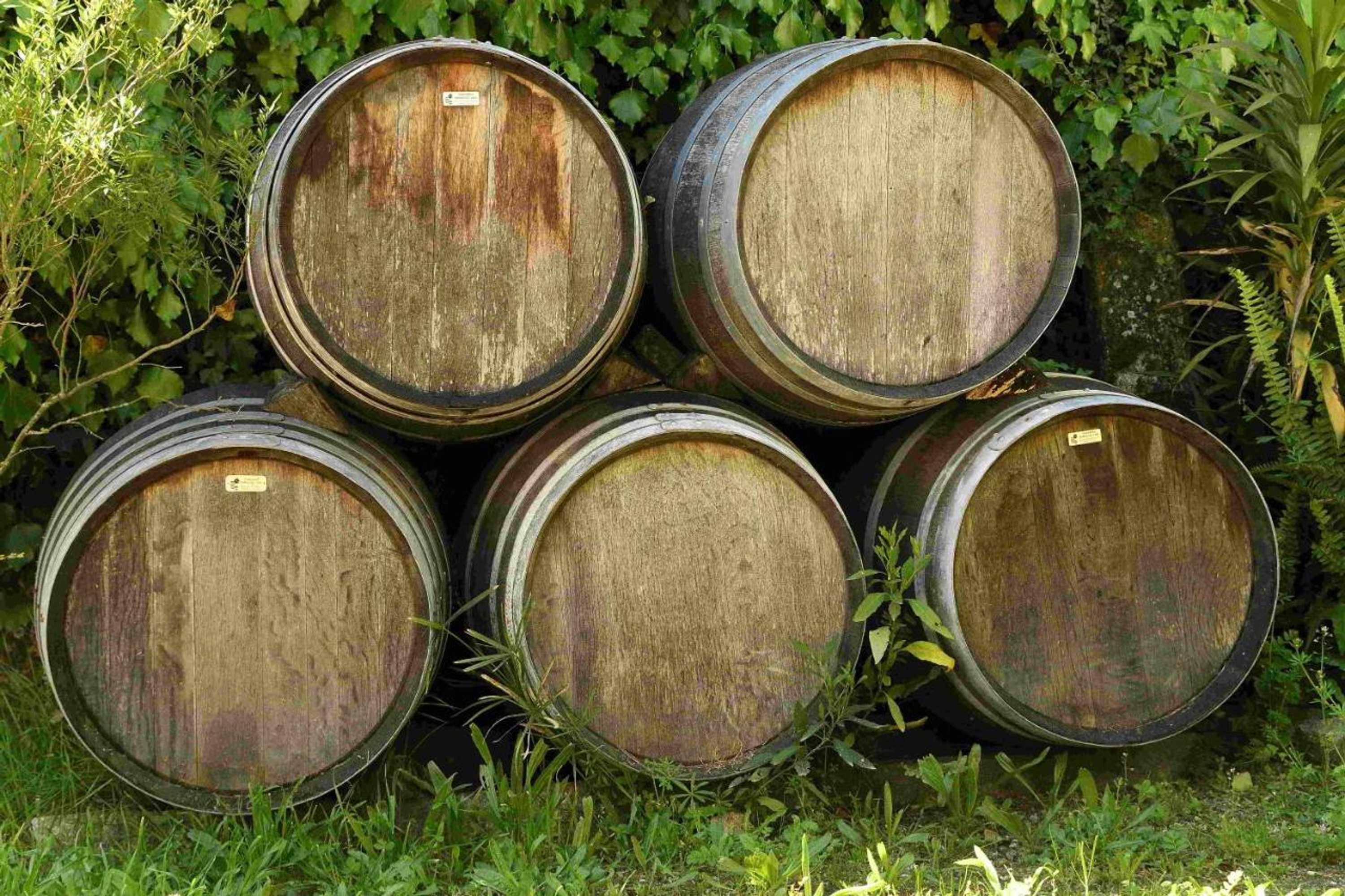 Gift card for Quinta da Fata