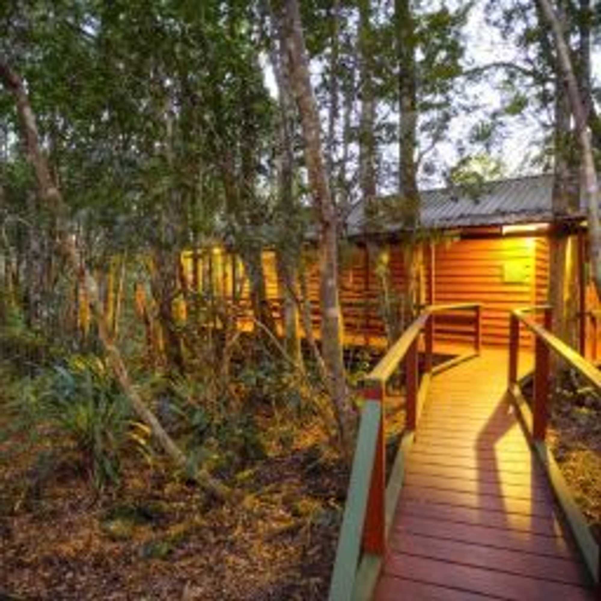 Gift card for The Mouses House Rainforest Retreat Gift card for The Mouses House Rainforest Retreat