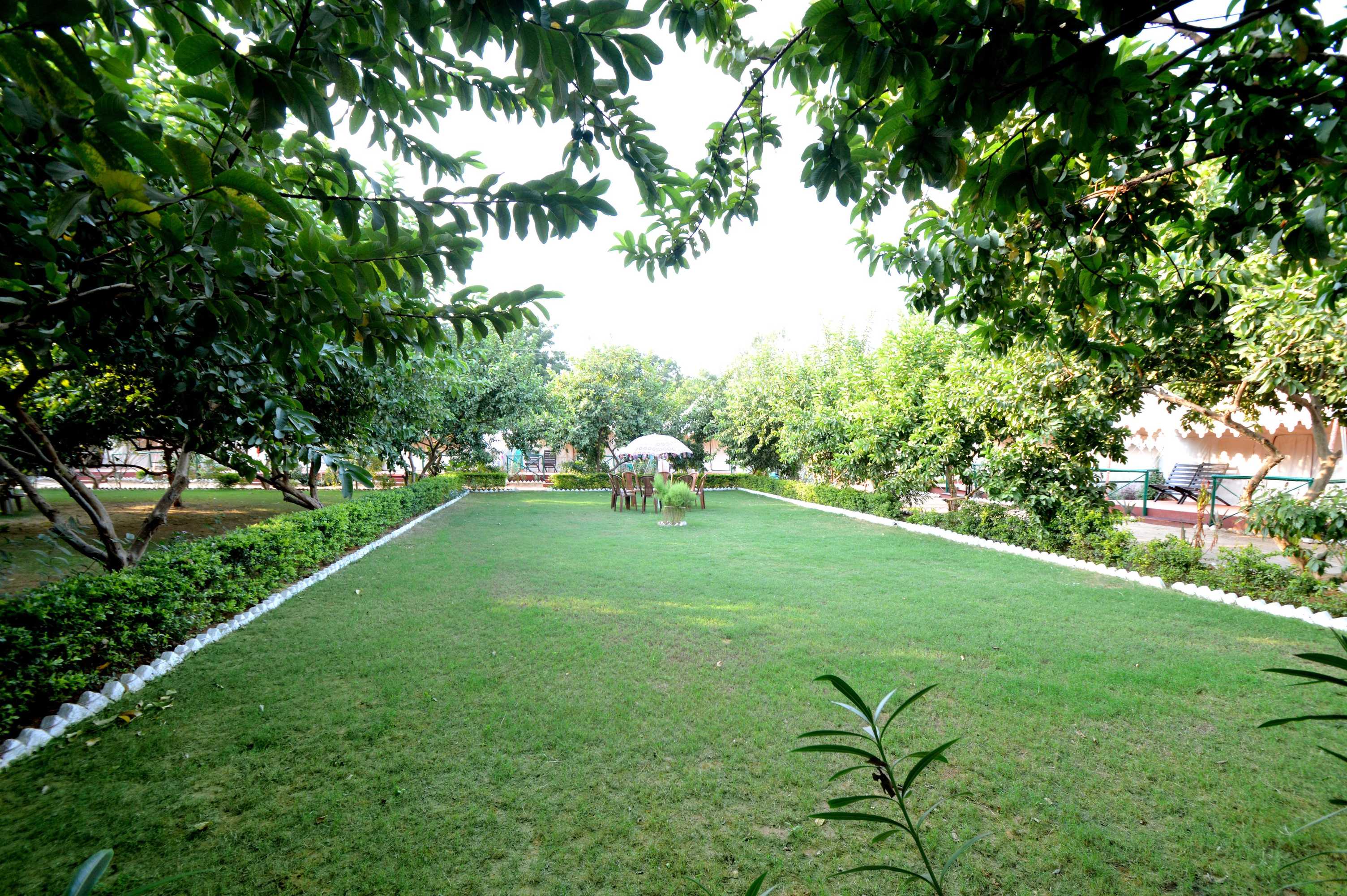Gift card for Bagh Dera Camp Gift card for Bagh Dera Camp