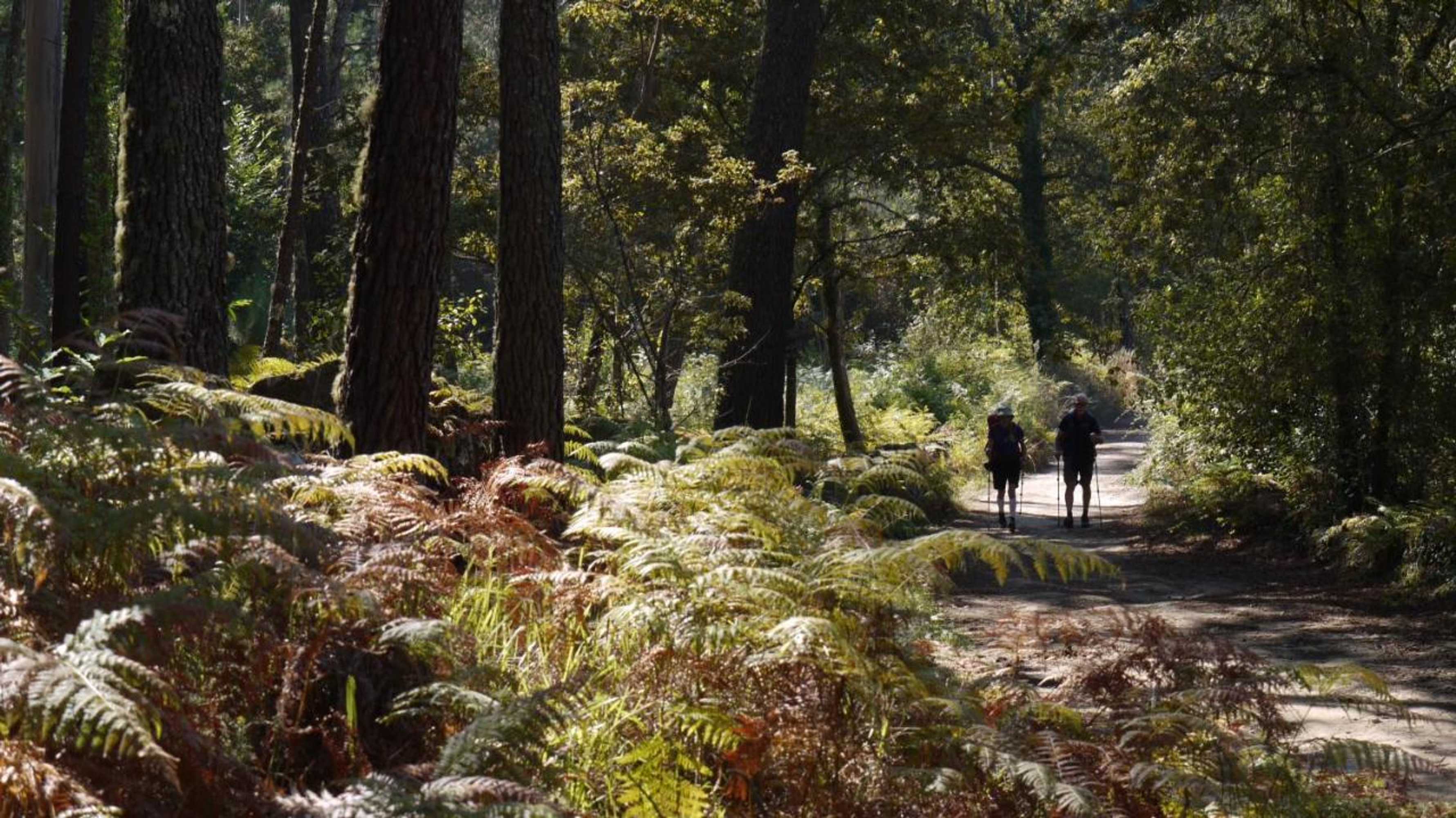 Gift card for Quinta Das Leiras - Rubiães