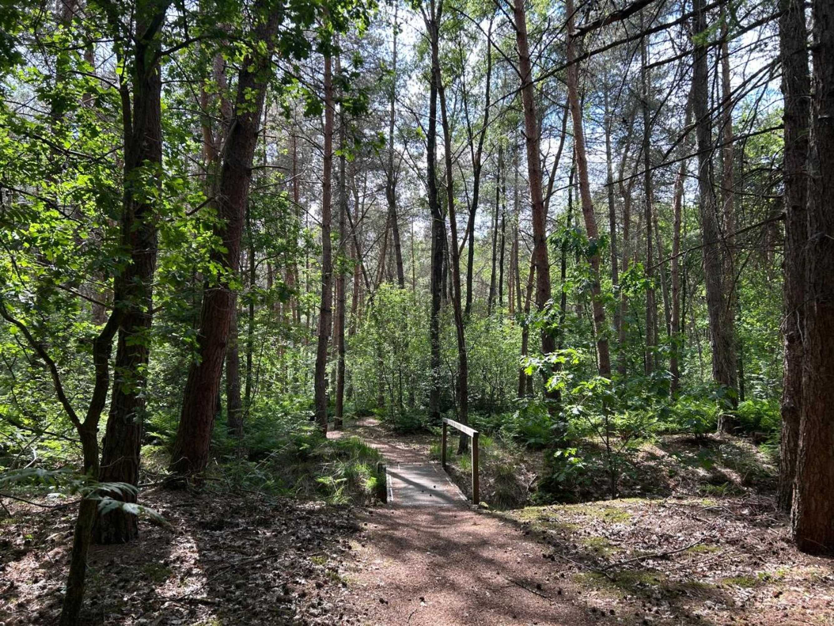 Gift card for Bed&breakfast Kamersven