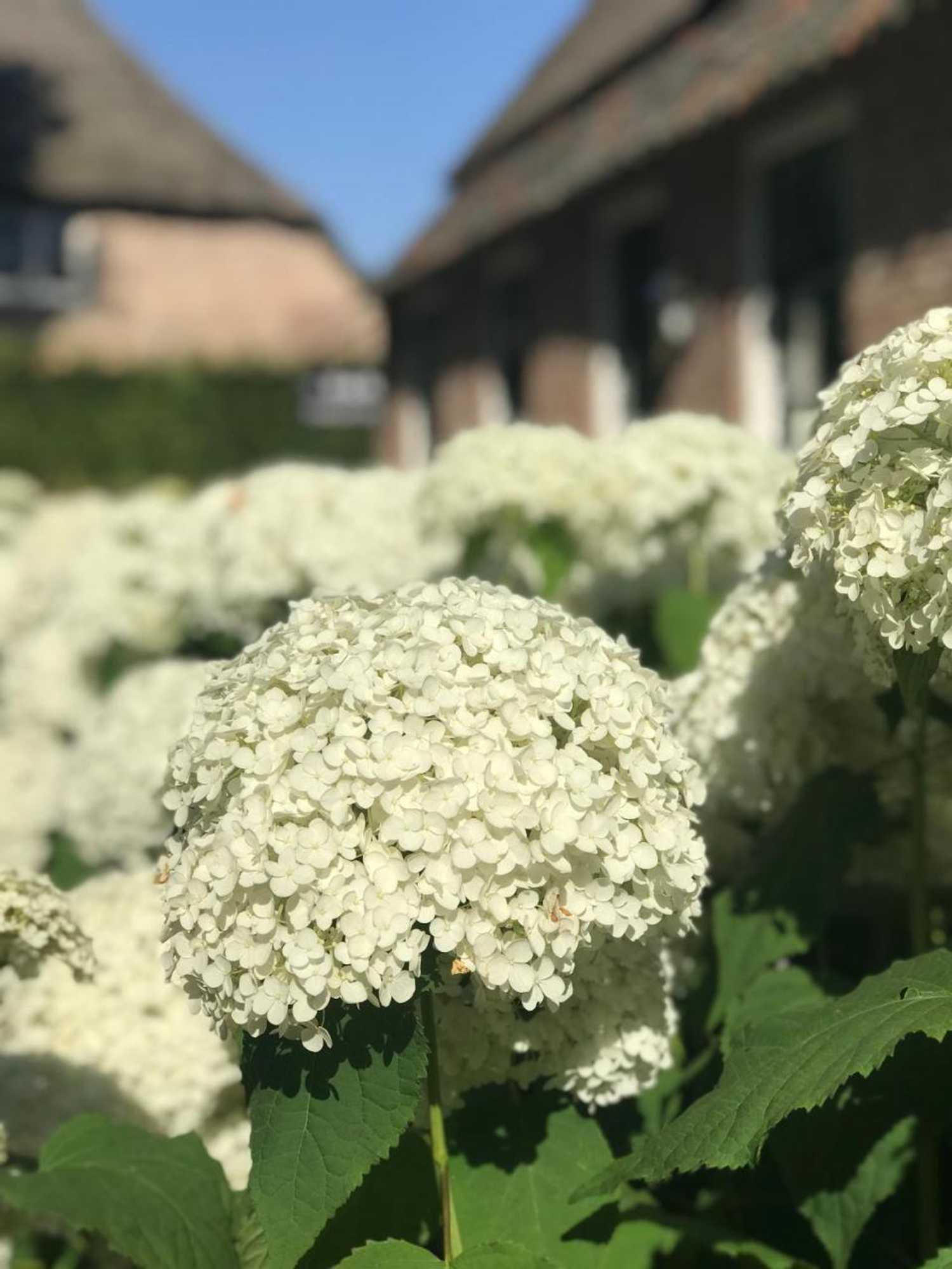 Gift card for Bed & Breakfast Karakter