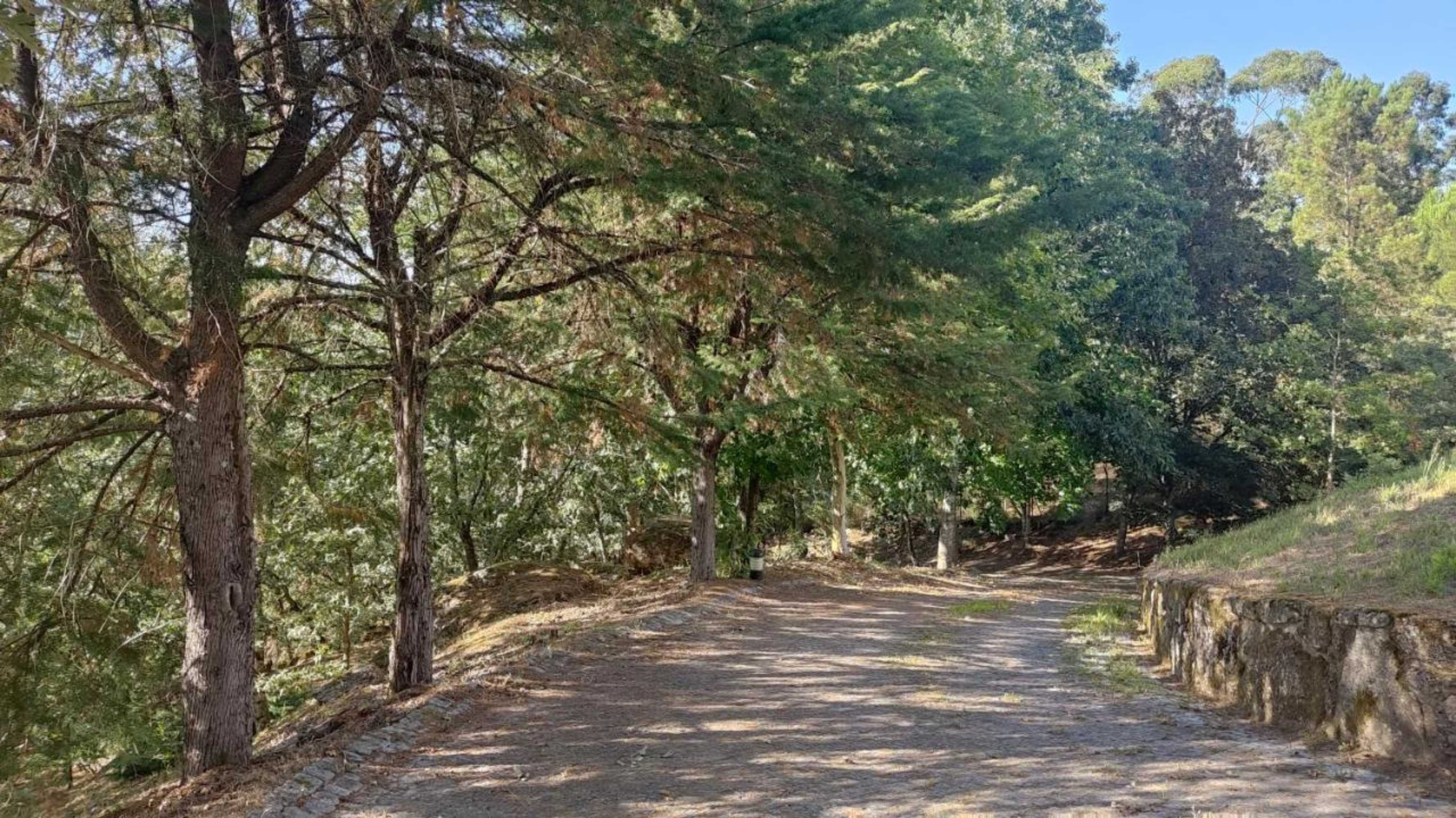 Gift card for Casa de Apeleiras Gift card for Casa de Apeleiras