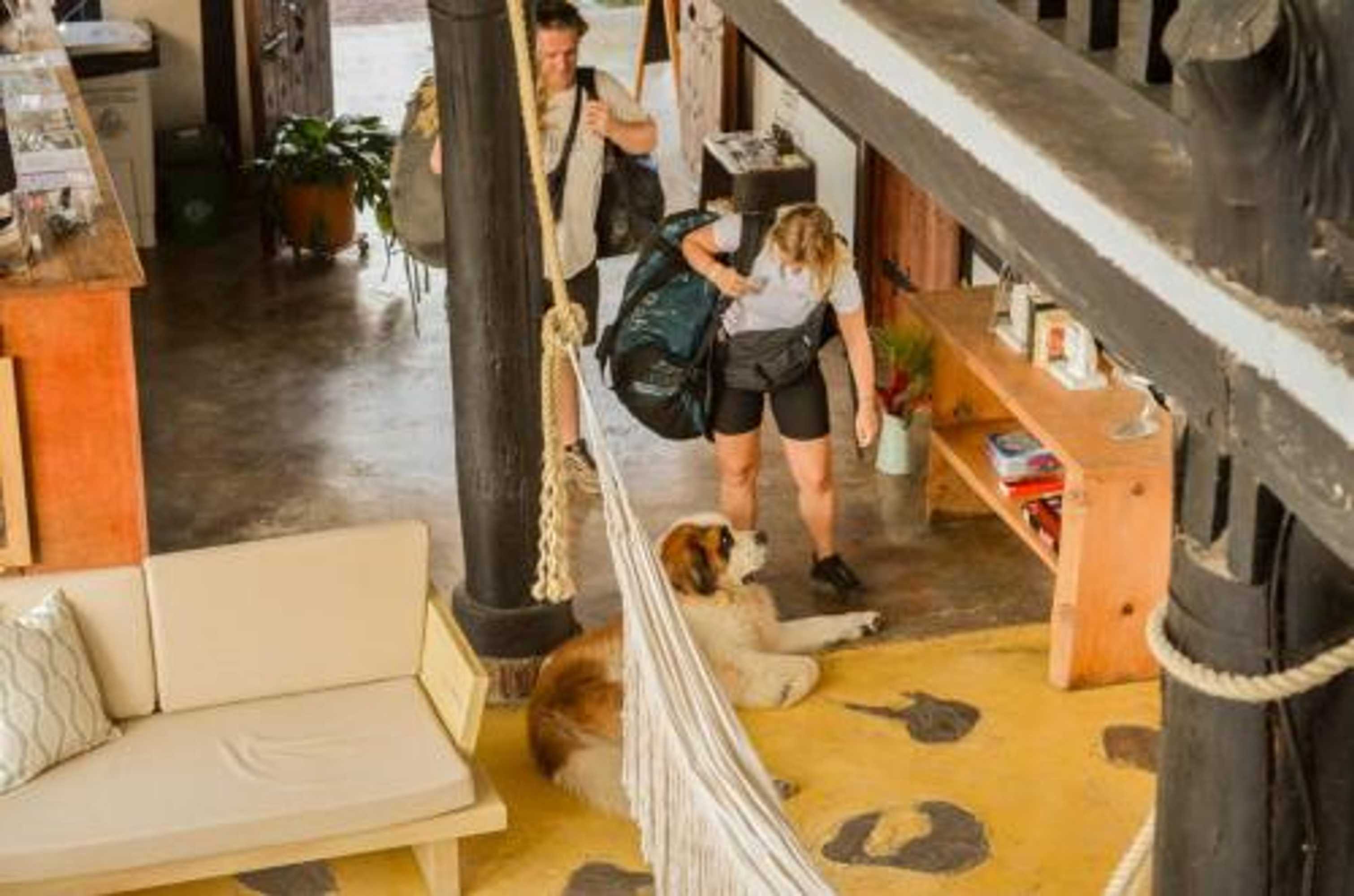 Gift card for Coffee Tree Boutique Hostel Gift card for Coffee Tree Boutique Hostel