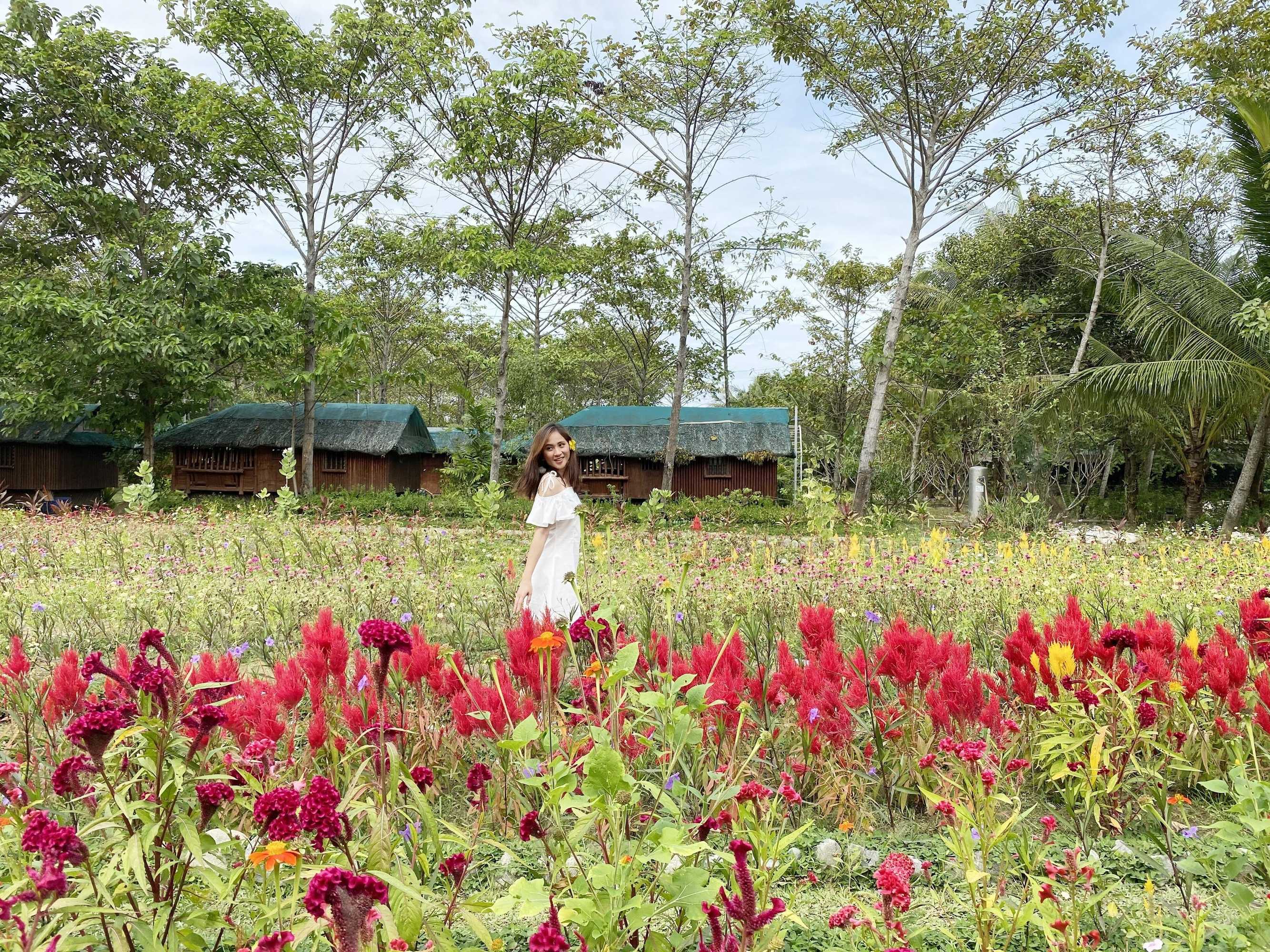 Gift card for Hiraya Wellness Resort And Ecopark