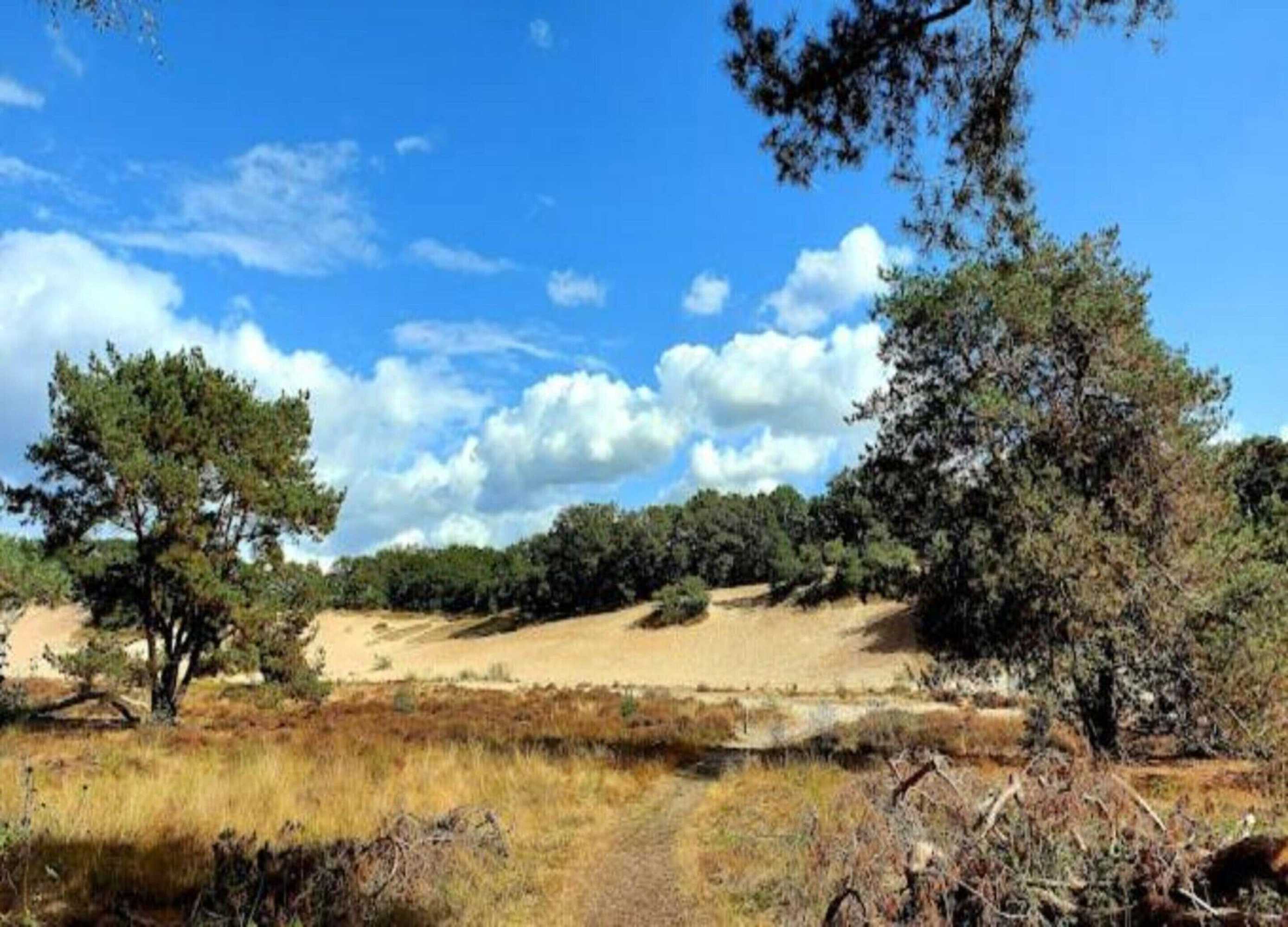 Gift card for Villa in Sandberghe With Sauna And Comfort