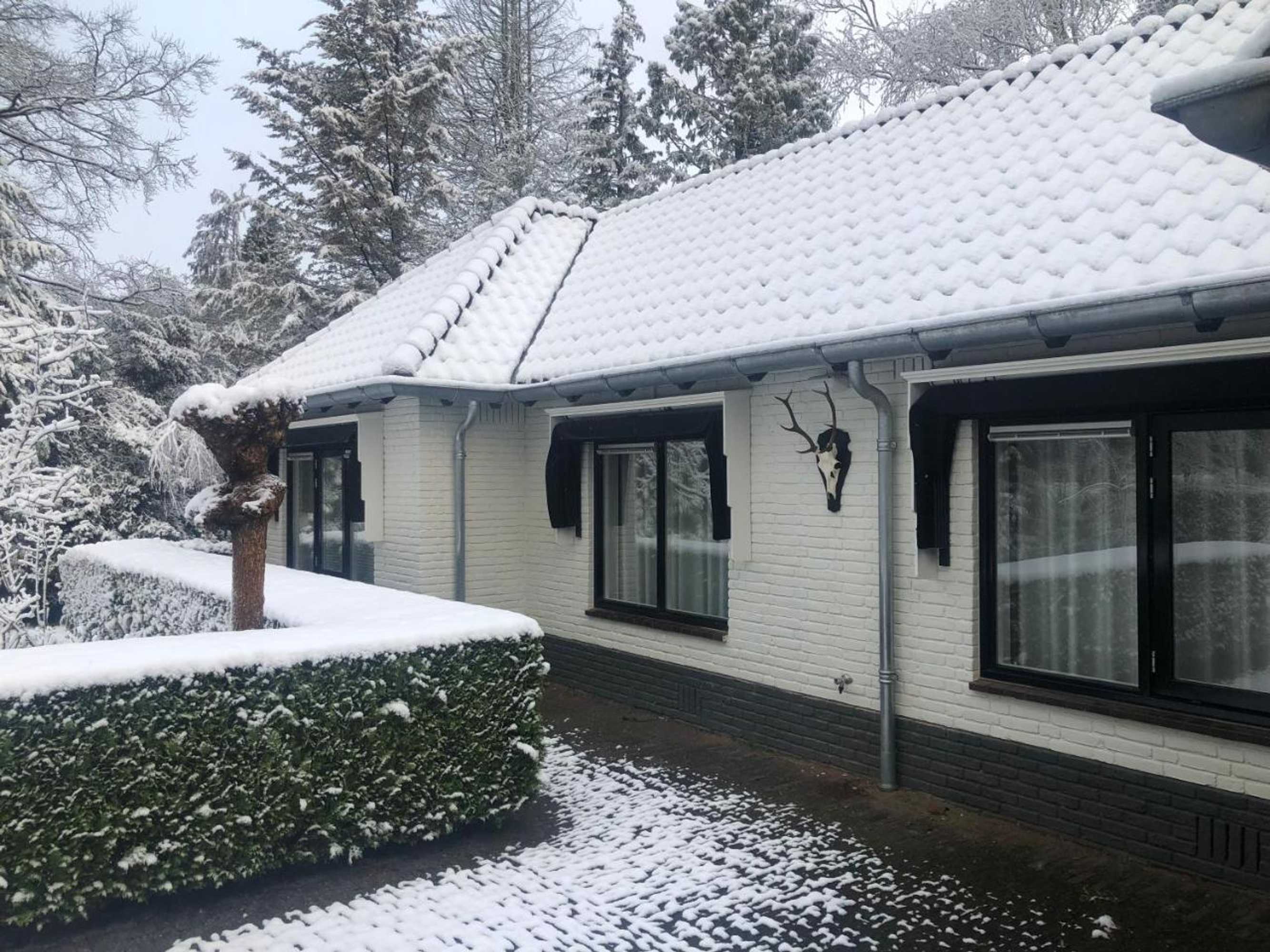 Gift card for Modern Palace B&b Emma Staete