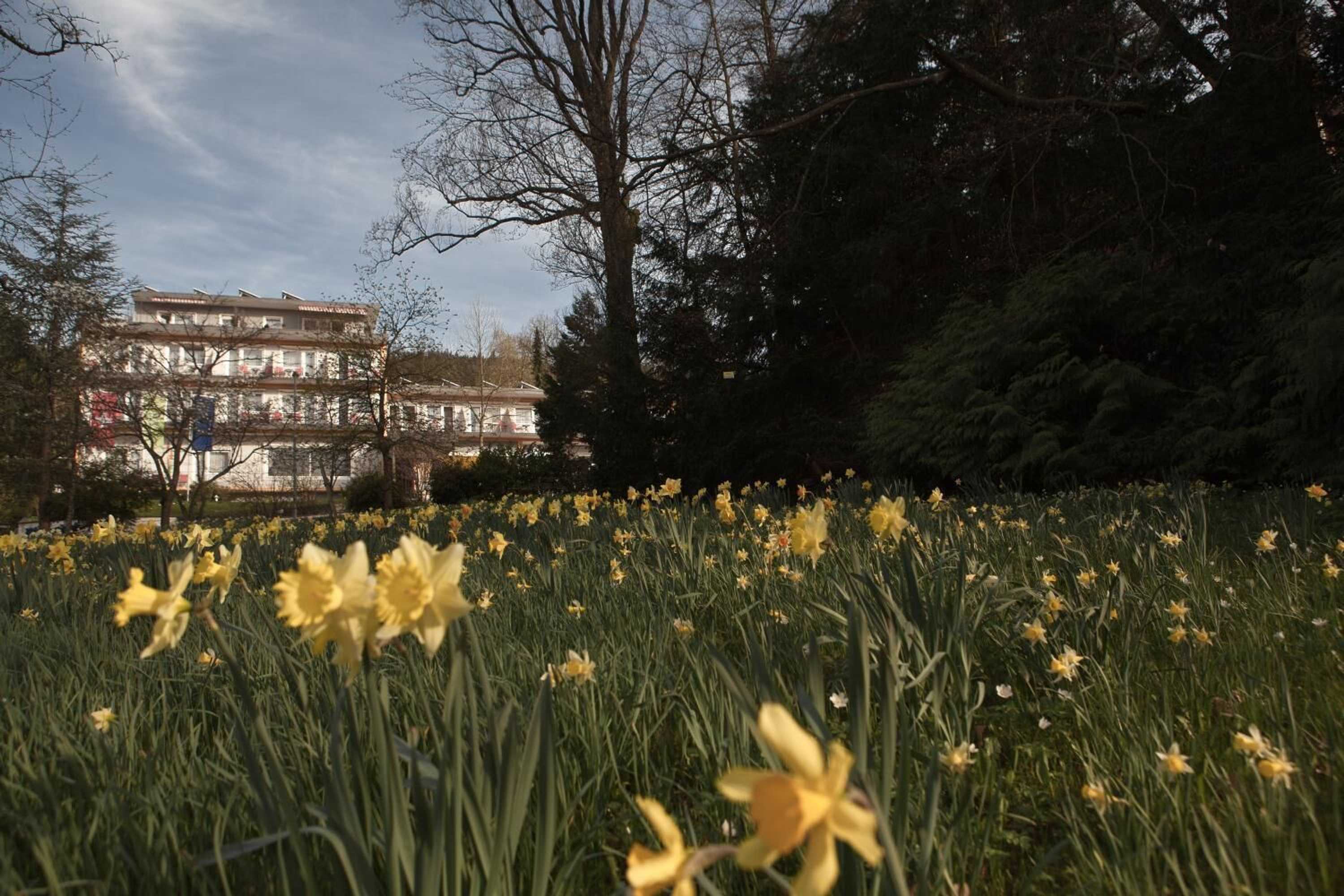 Gift card for Balance-Hotel am Blauenwald Gift card for Balance-Hotel am Blauenwald