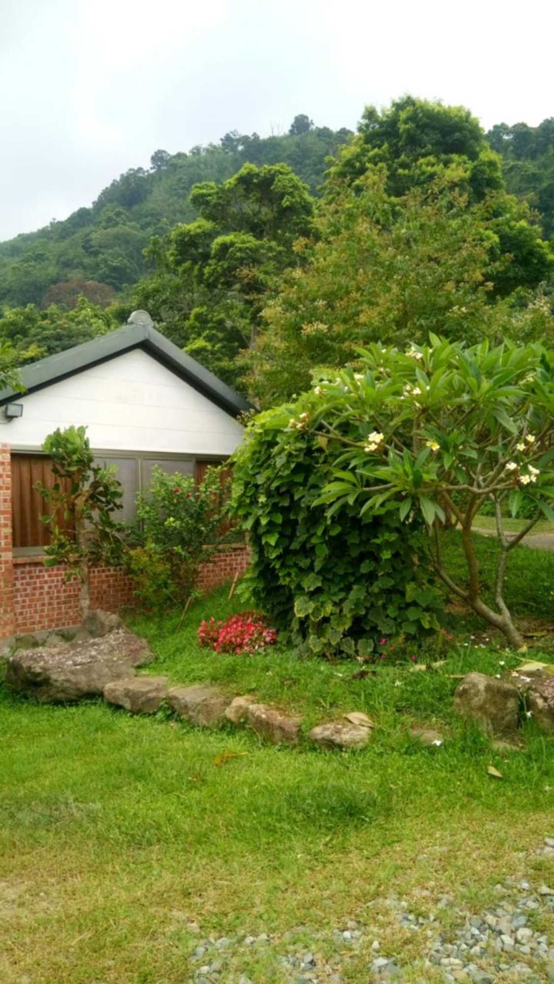 Gift card for Yellow Stone M.v.