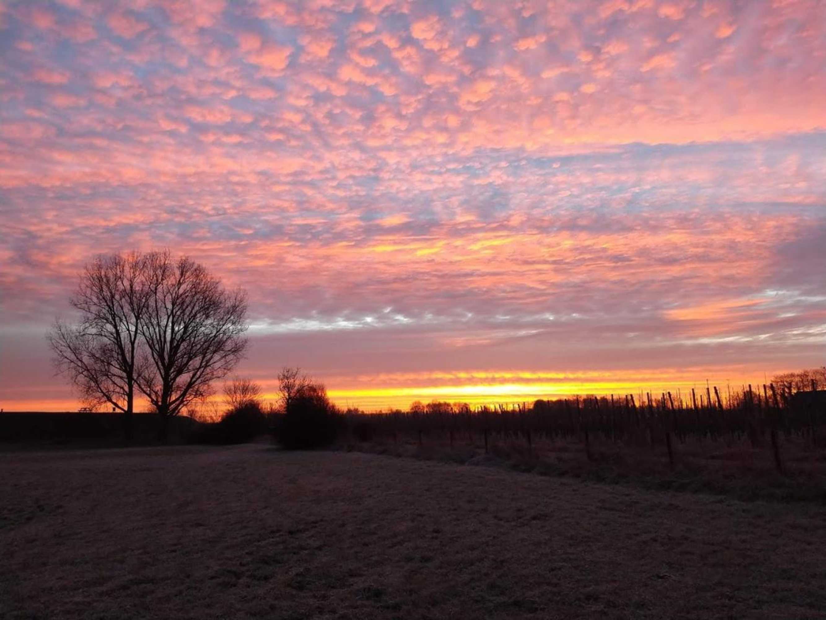 Gift card for Bed And Breakfast Maas en Waal