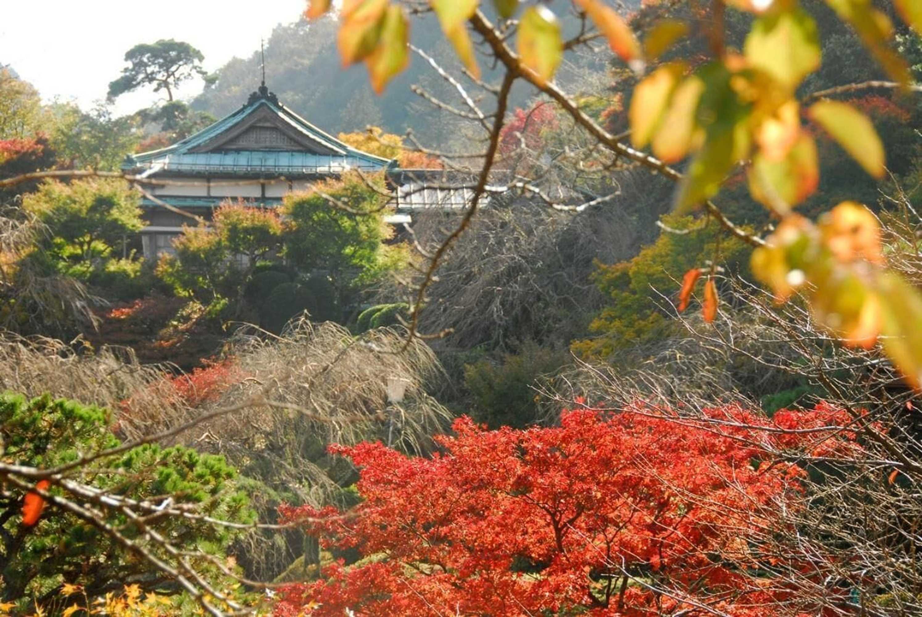 Gift card for Hakone Kowakien Mikawaya Ryokan Gift card for Hakone Kowakien Mikawaya Ryokan