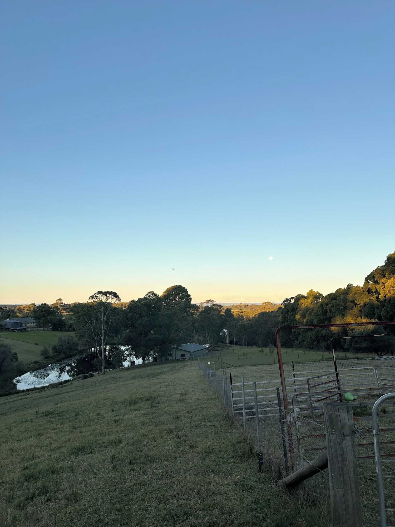 Gift card for Blueberry Hills On Comleroy Farmstay - B&b And Self-Contained Cottages