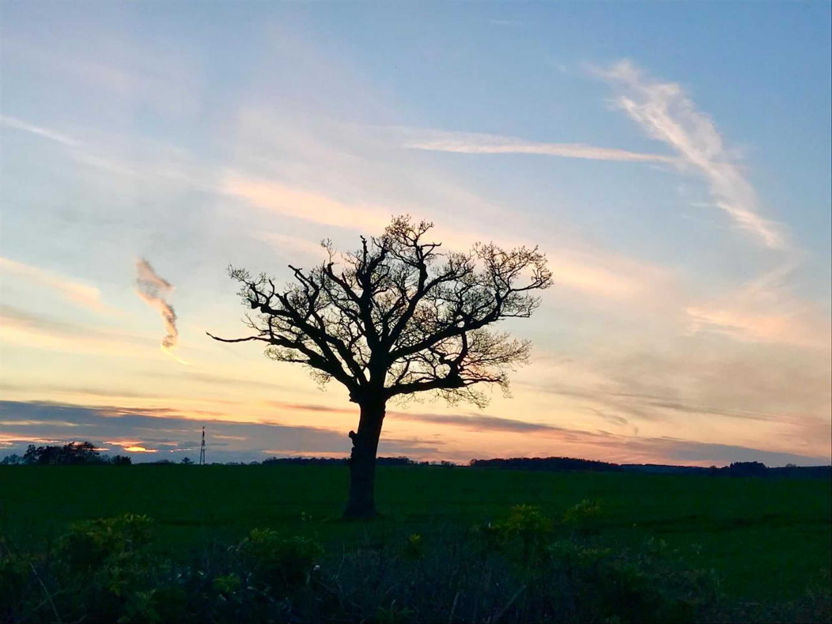 Gift card for The Queen Matilda Country Rooms