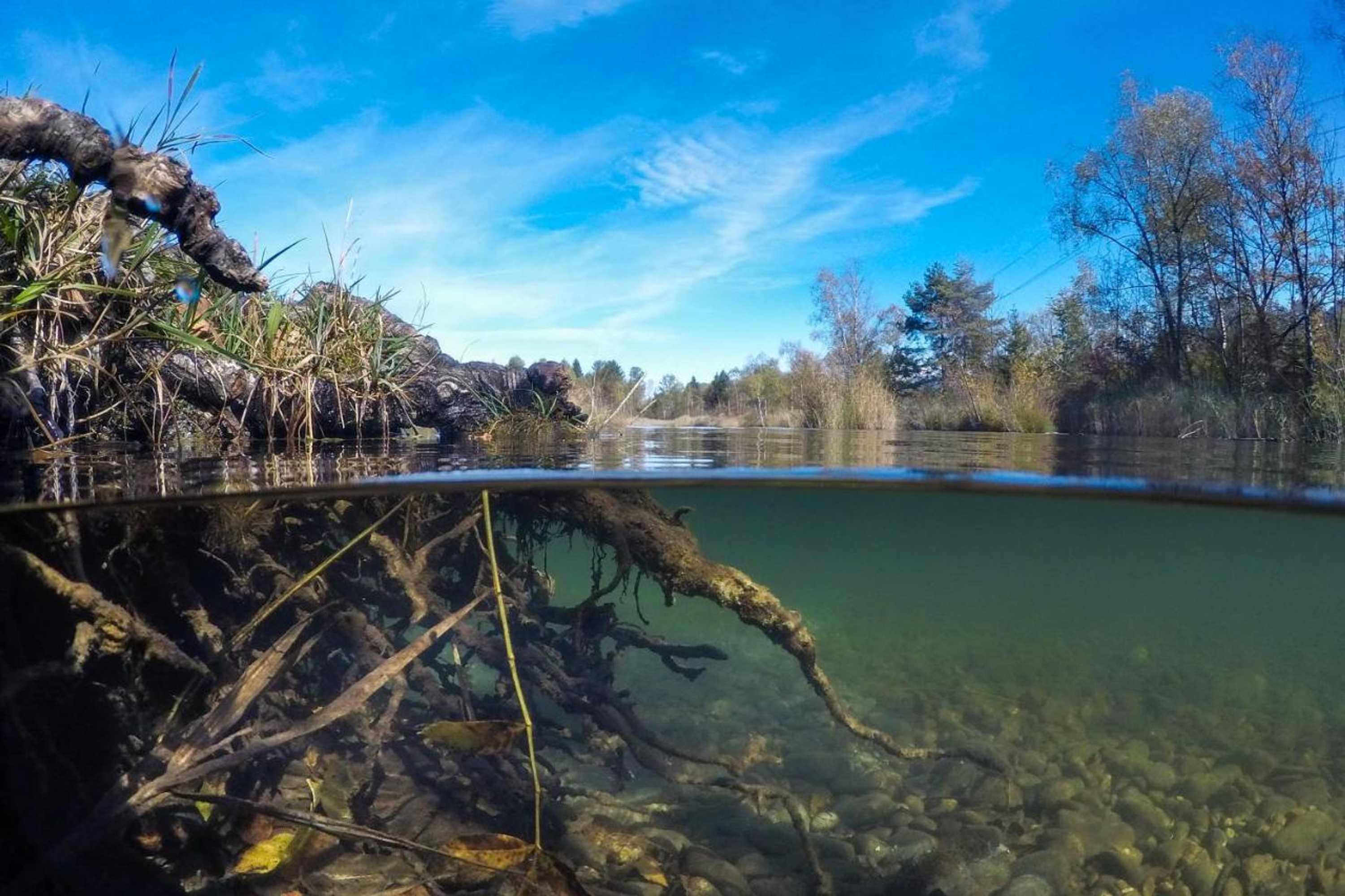 Gift card for Motel Hohenems