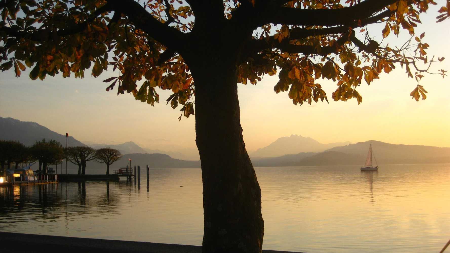 Gift card for City-Hotel Ochsen Zug