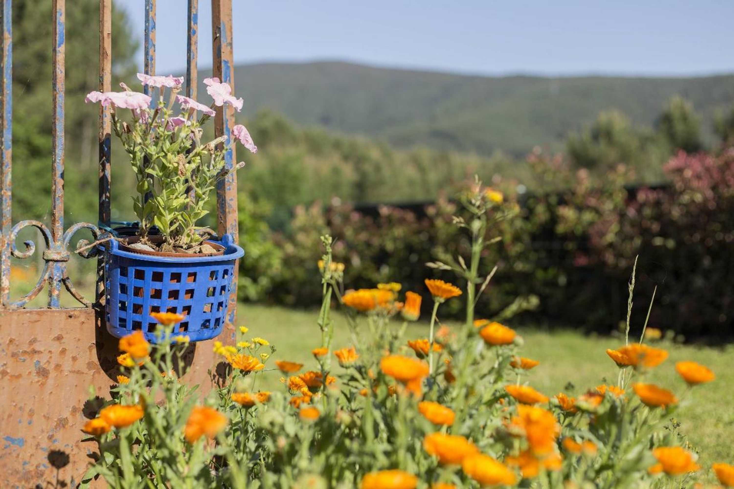 Gift card for Casa do Porto Carreiro Gift card for Casa do Porto Carreiro