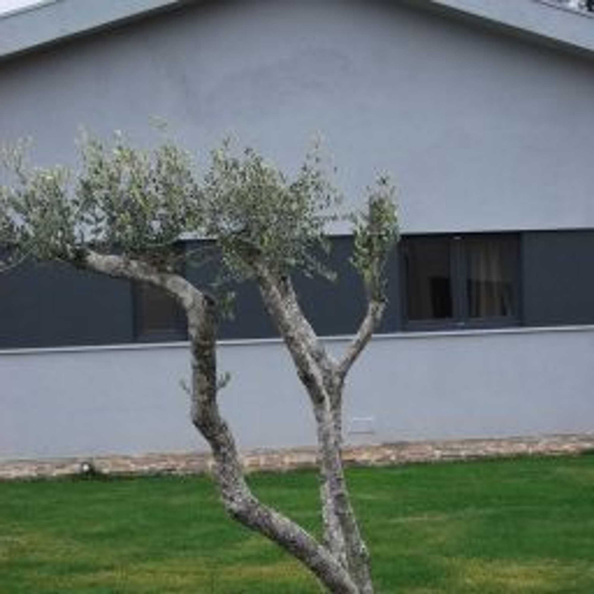 Gift card for Quinta Manhas Douro Gift card for Quinta Manhas Douro