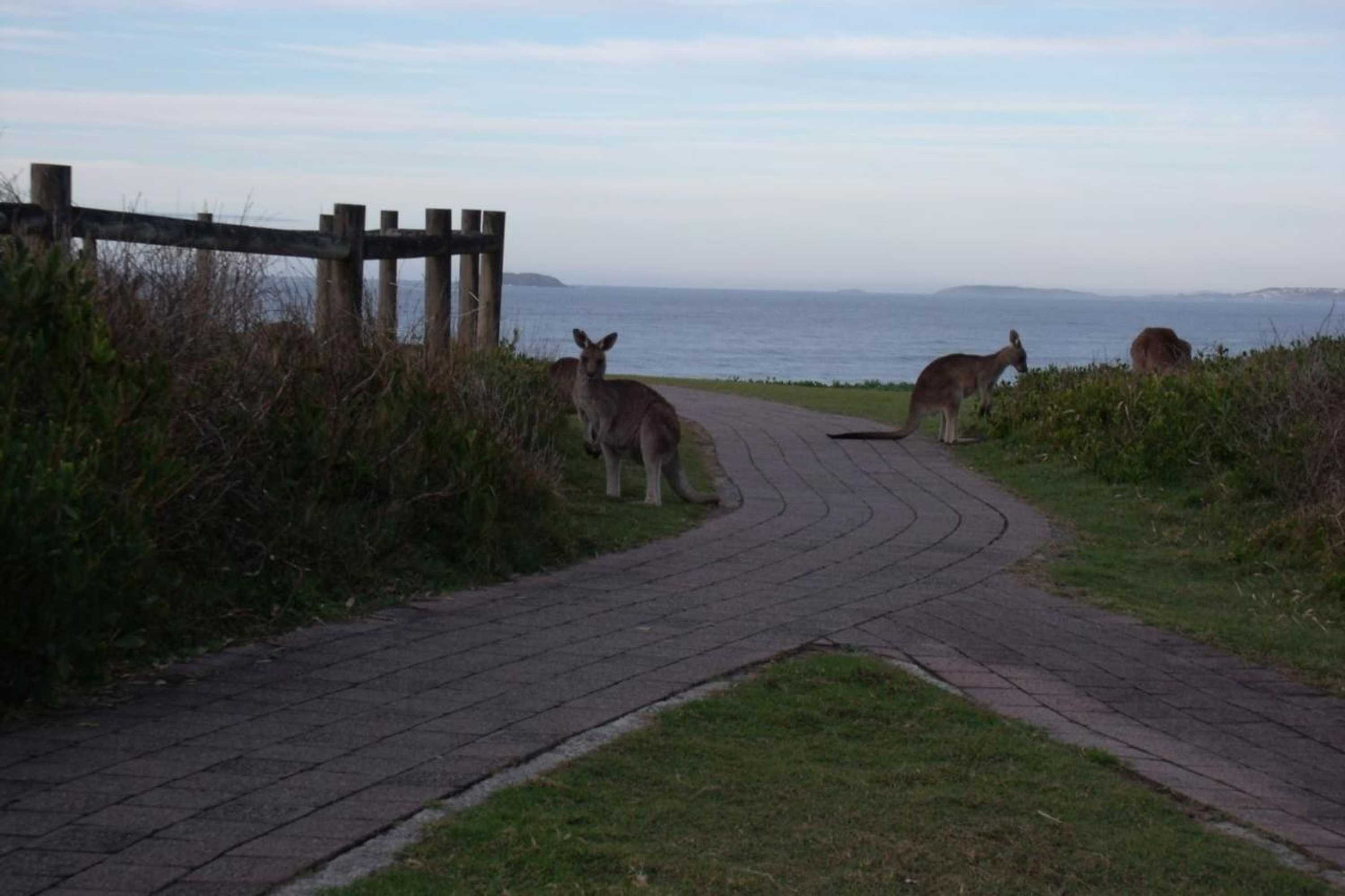 Gift card for Emerald Tropical Palms B & B Gift card for Emerald Tropical Palms B & B