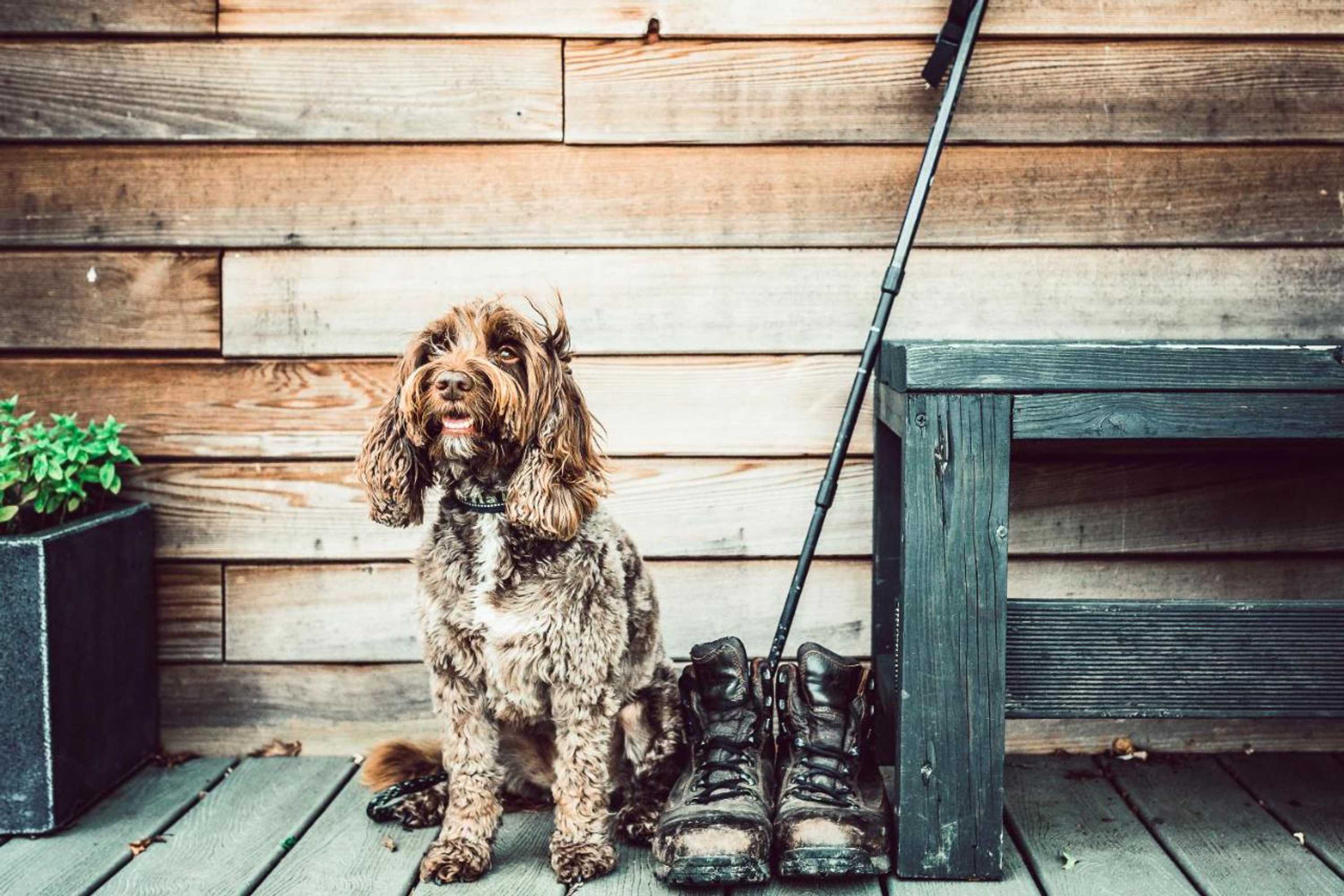 Gift card for Clophill Eco Lodges