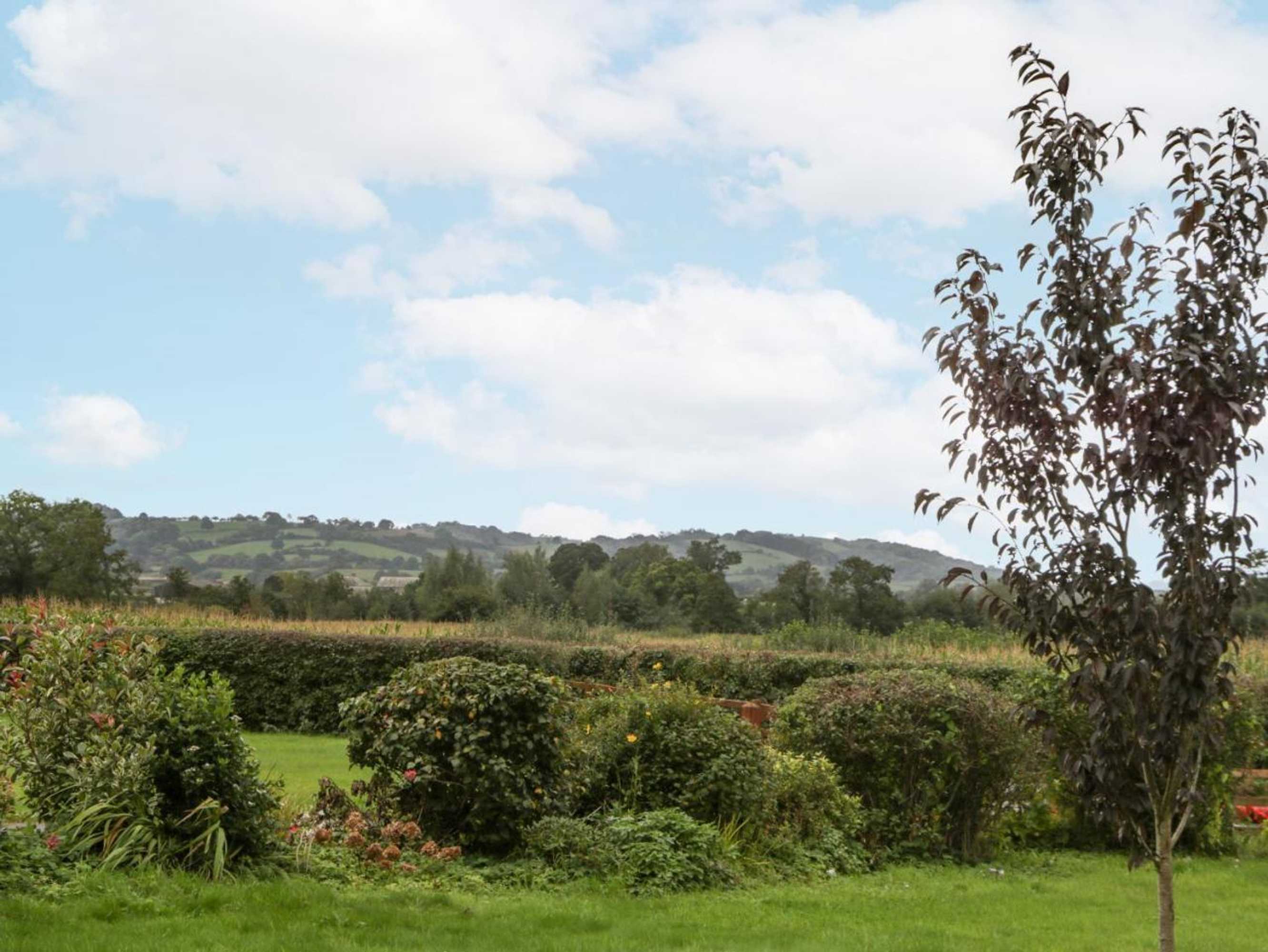 Gift card for The Pheasant One