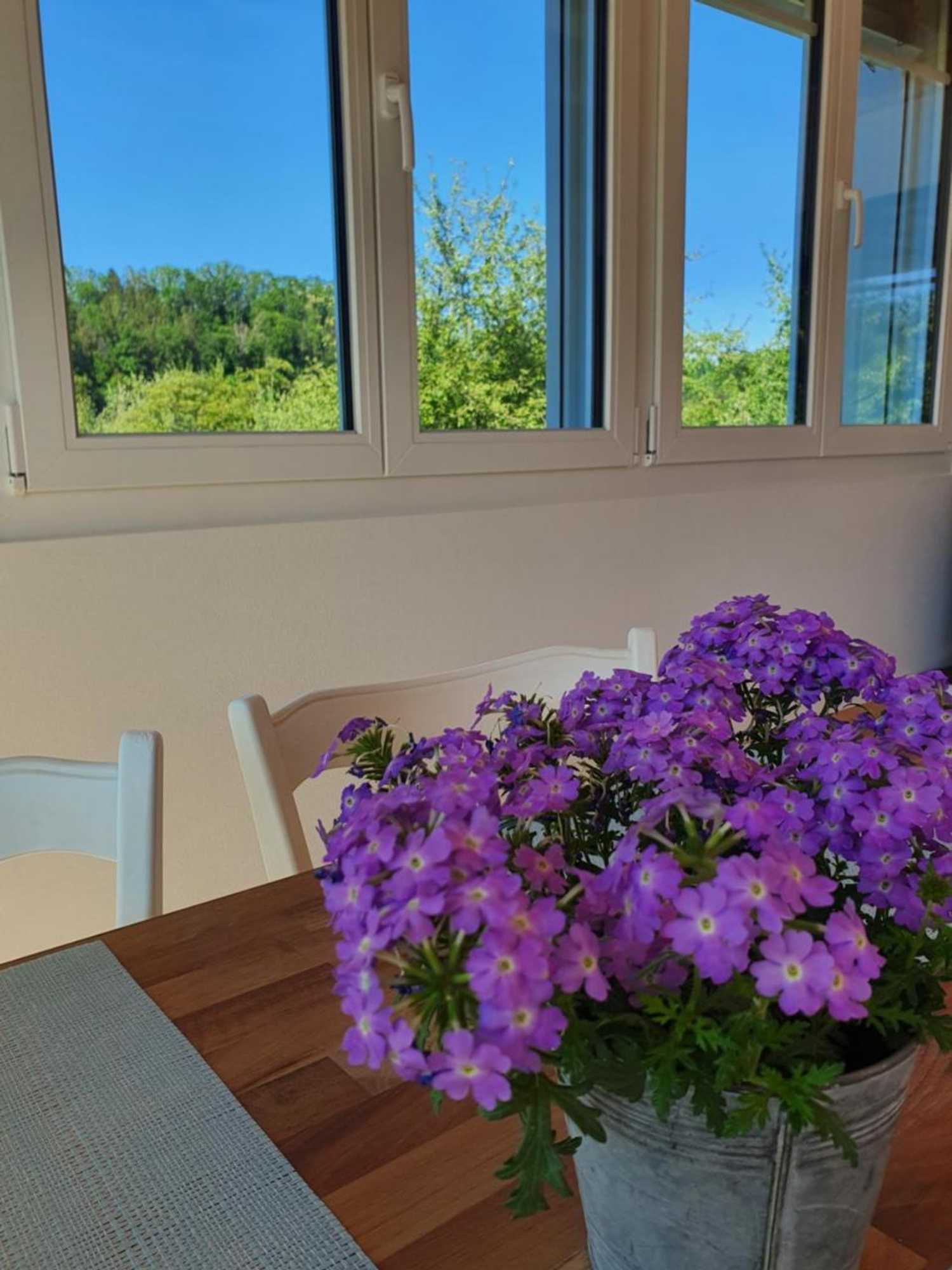 Gift card for Sitter-Panorama