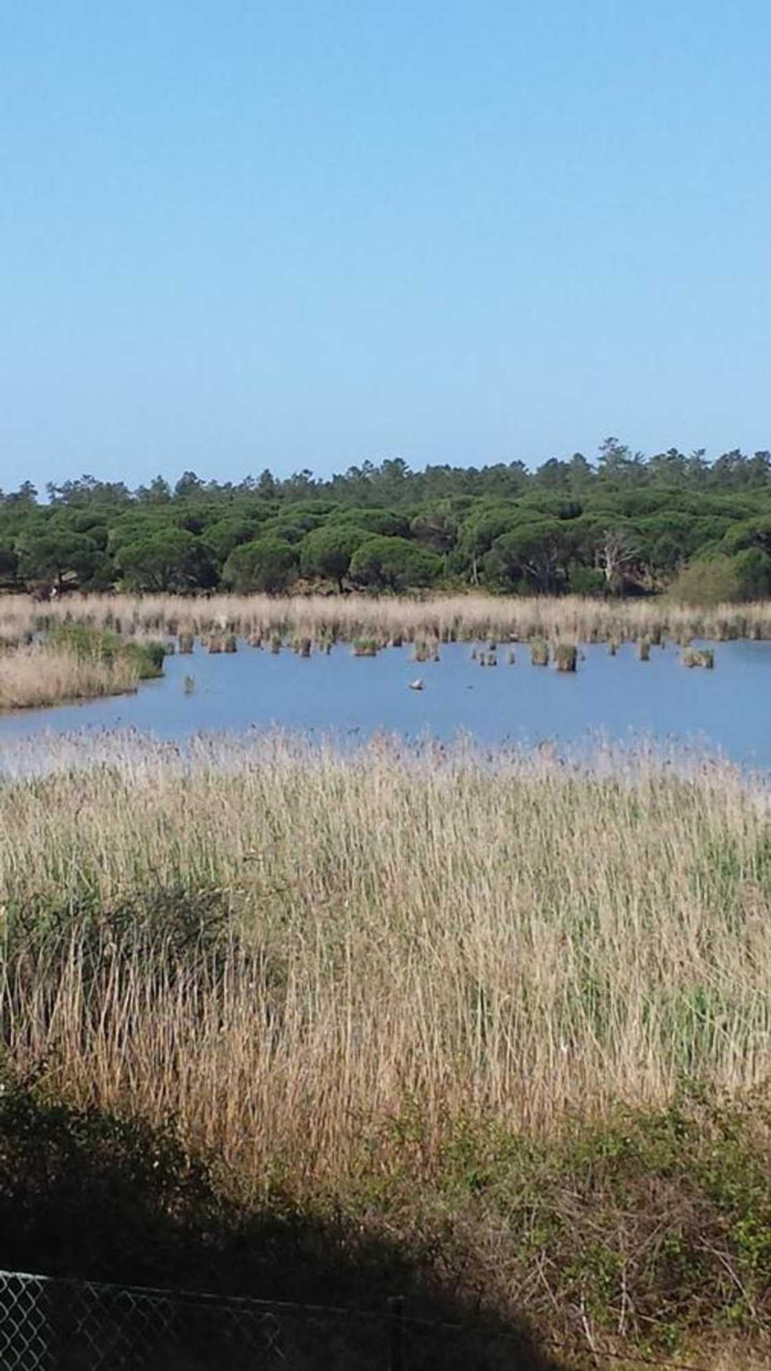 Gift card for Casa da Ribeira