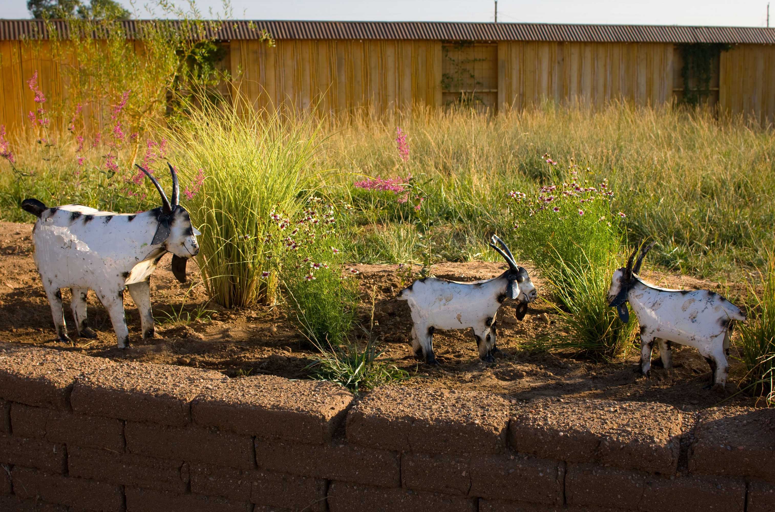 Gift card for Sunset Motel