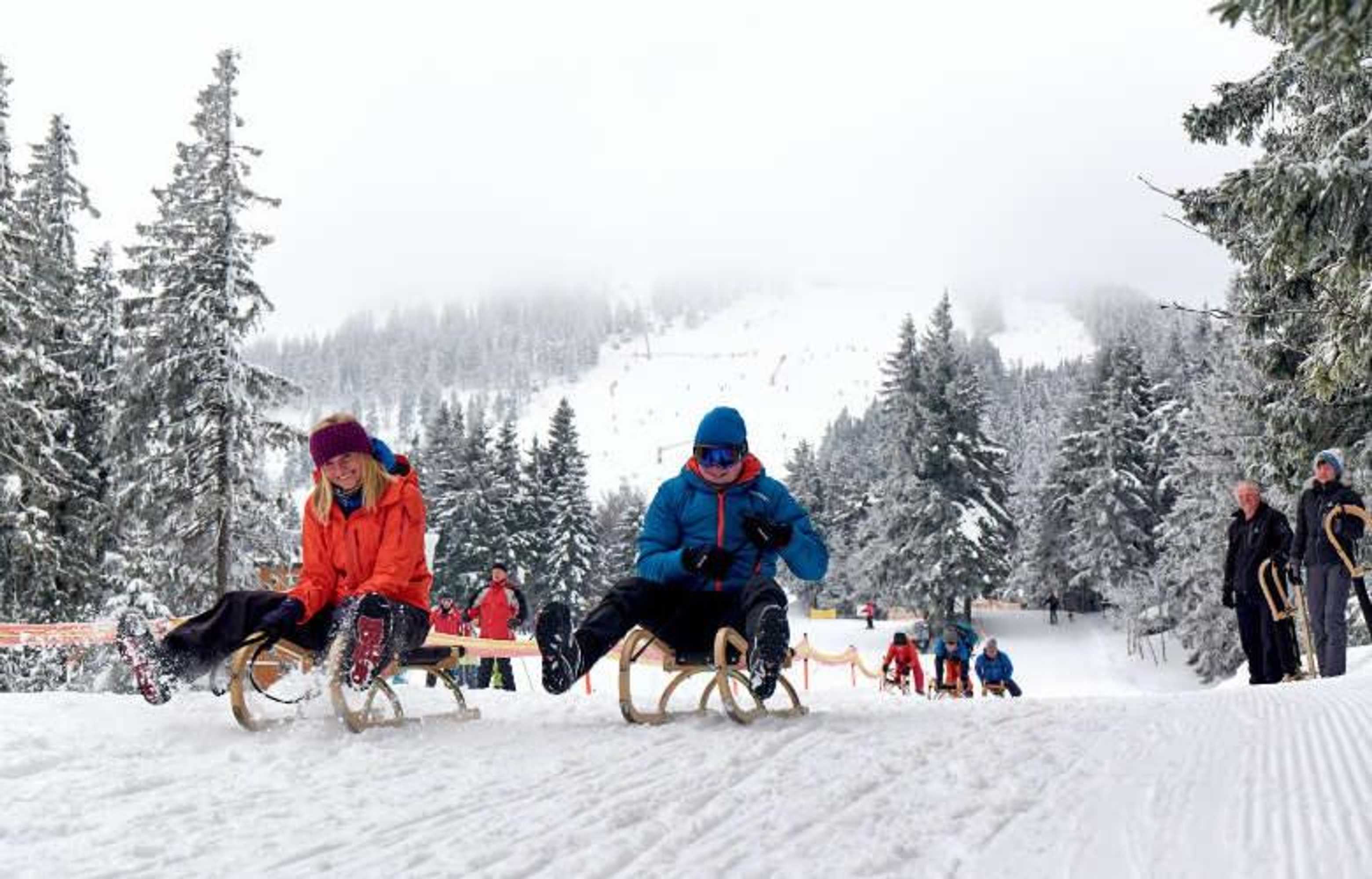 Gift card for Arberland Tagungshaus