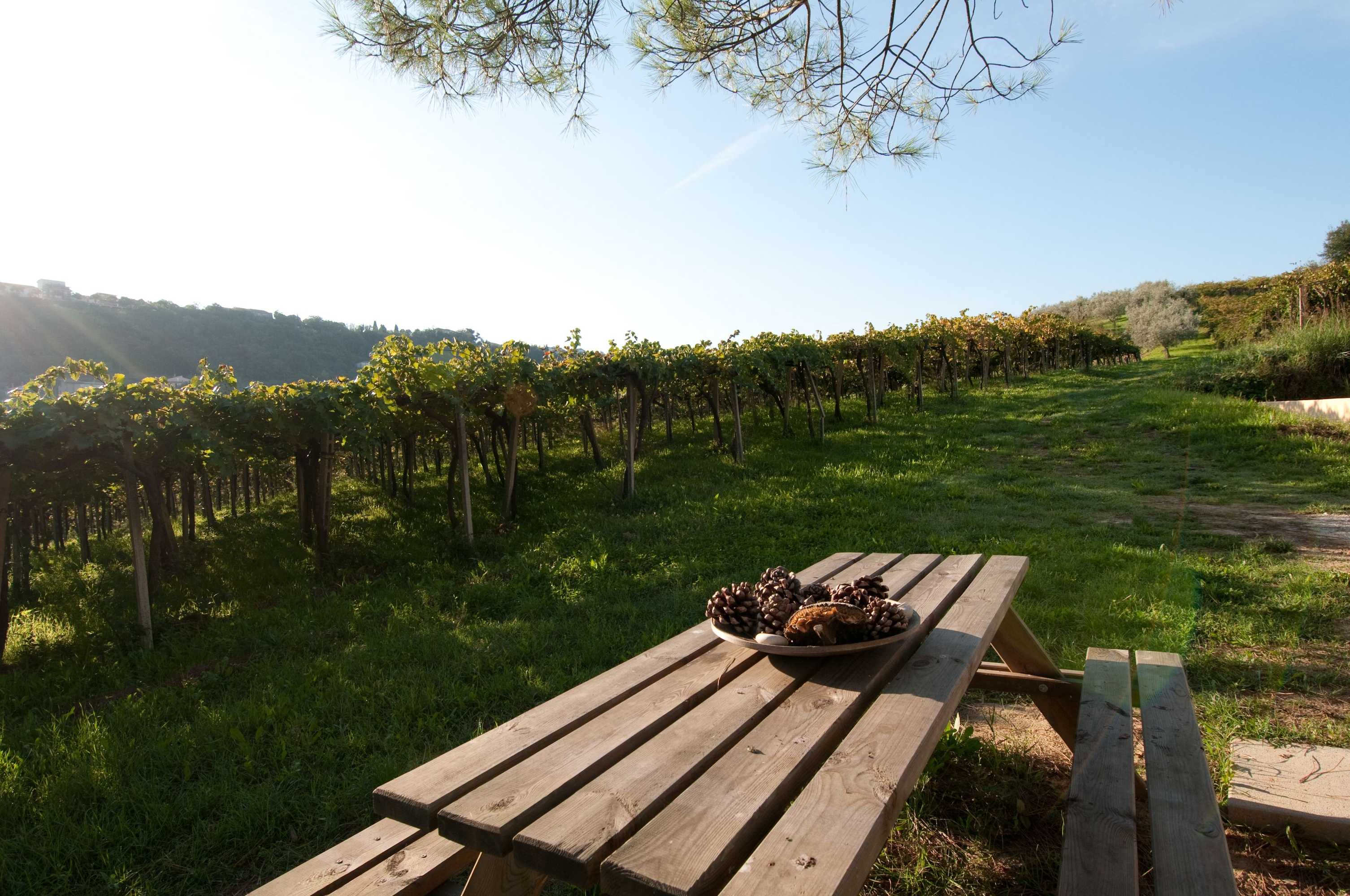 Gift card for Agriturismo Casa Dell'orto Gift card for Agriturismo Casa Dell'orto