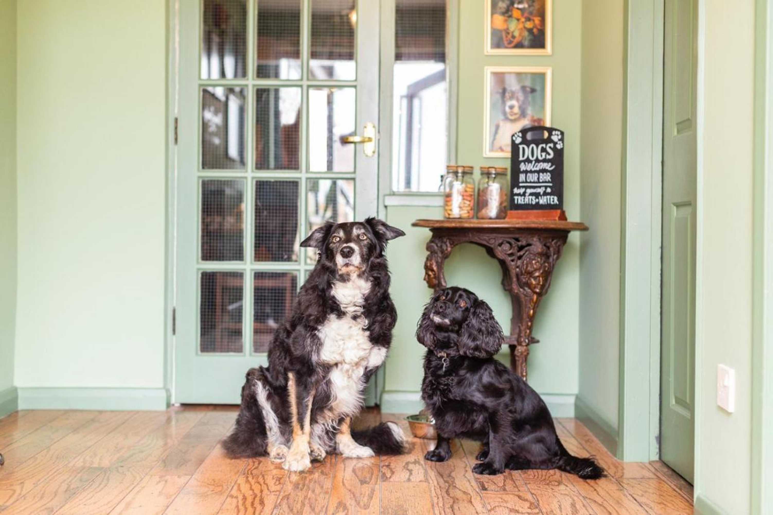 Gift card for The Fromeway