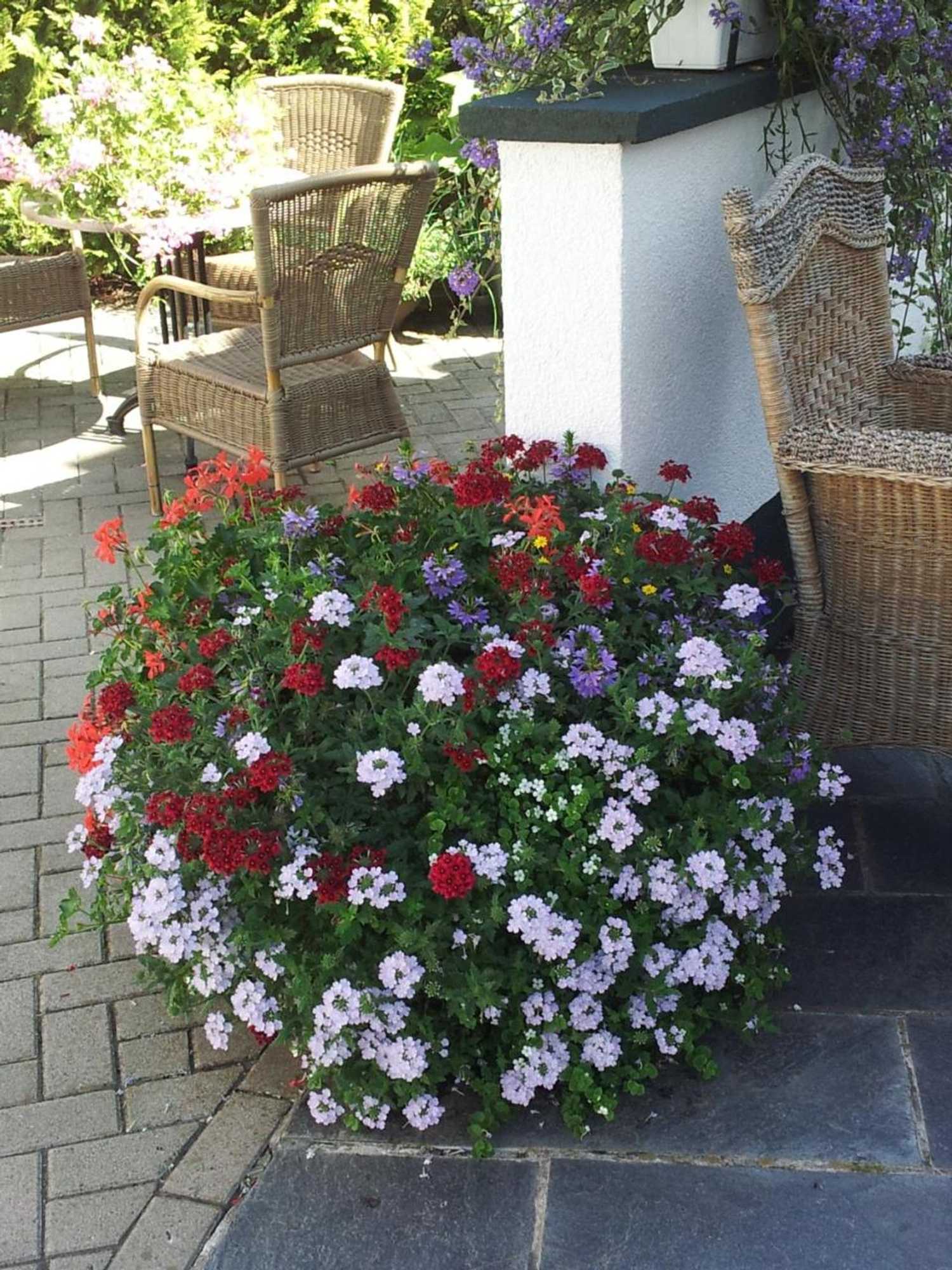 Gift card for De Witte Molen Kranenburg