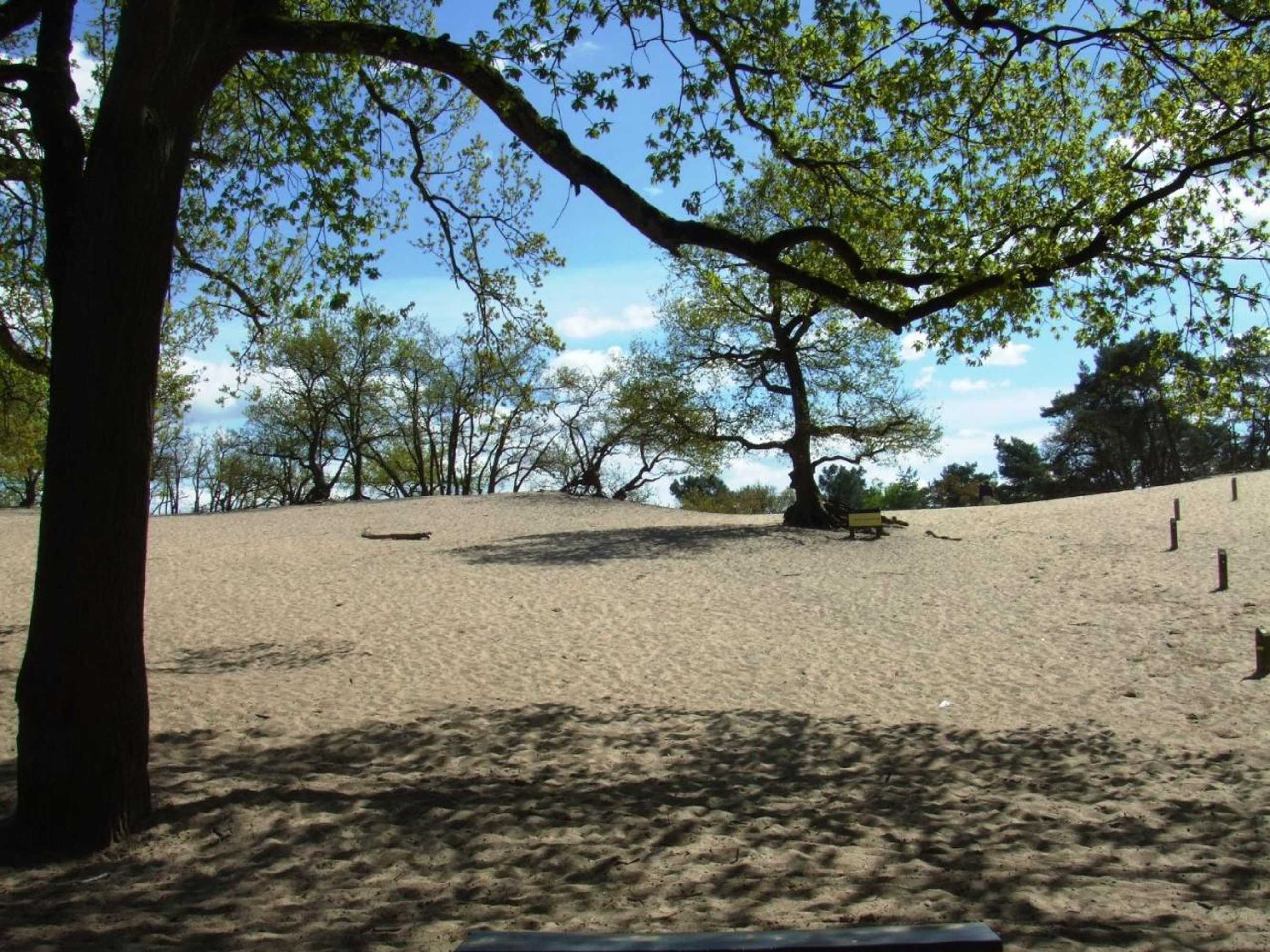 Gift card for Boomgalows De Roestelberg