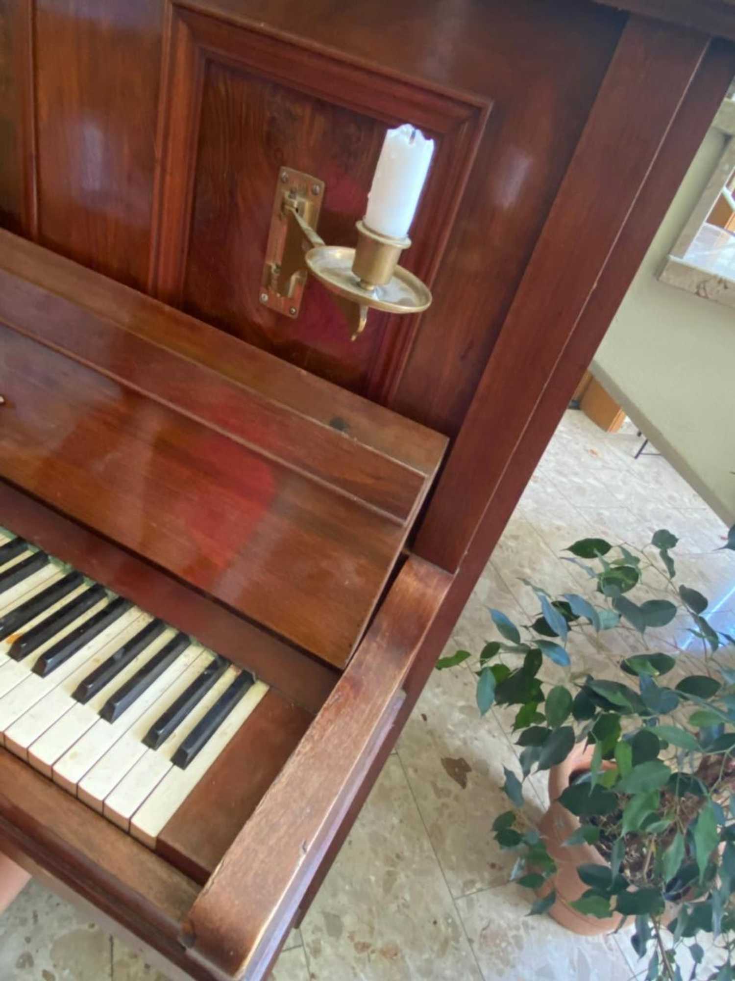 Gift card for Vanilla Hof