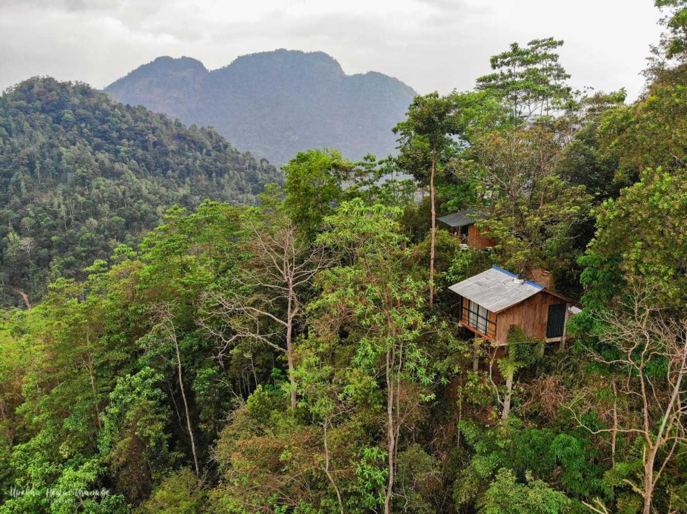 Gift card for Tree Houses by Jungle River