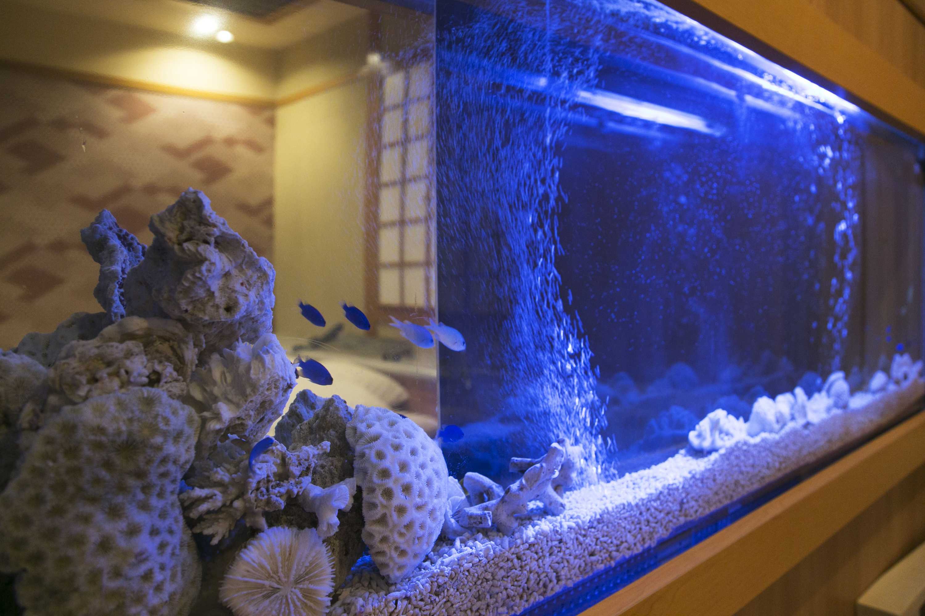 Gift card for Hotel Atlantis Higashiosaka - Adults Only Gift card for Hotel Atlantis Higashiosaka - Adults Only