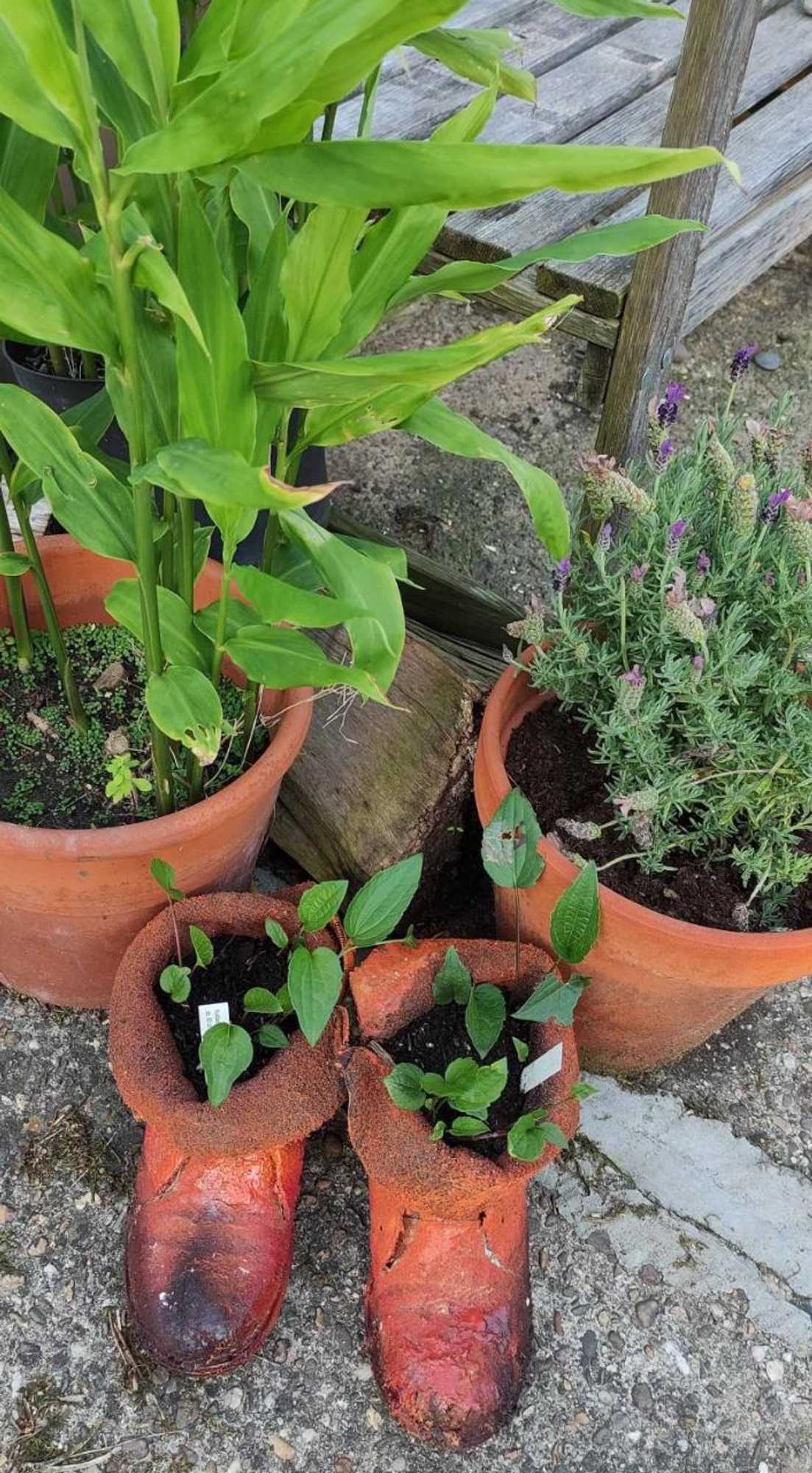 Gift card for Kreativhof Lehmberg