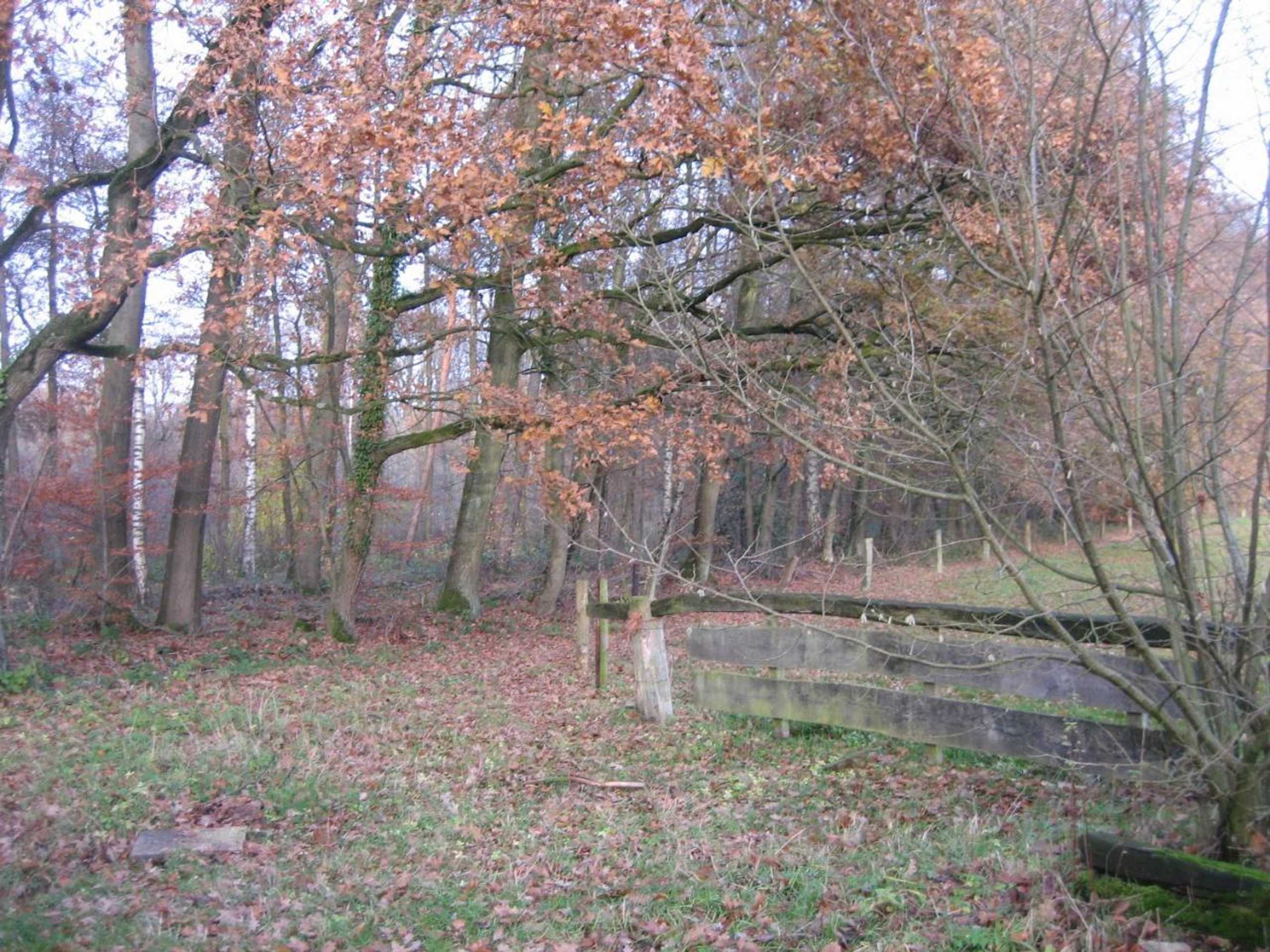 Gift card for Hotel Het Landhuis