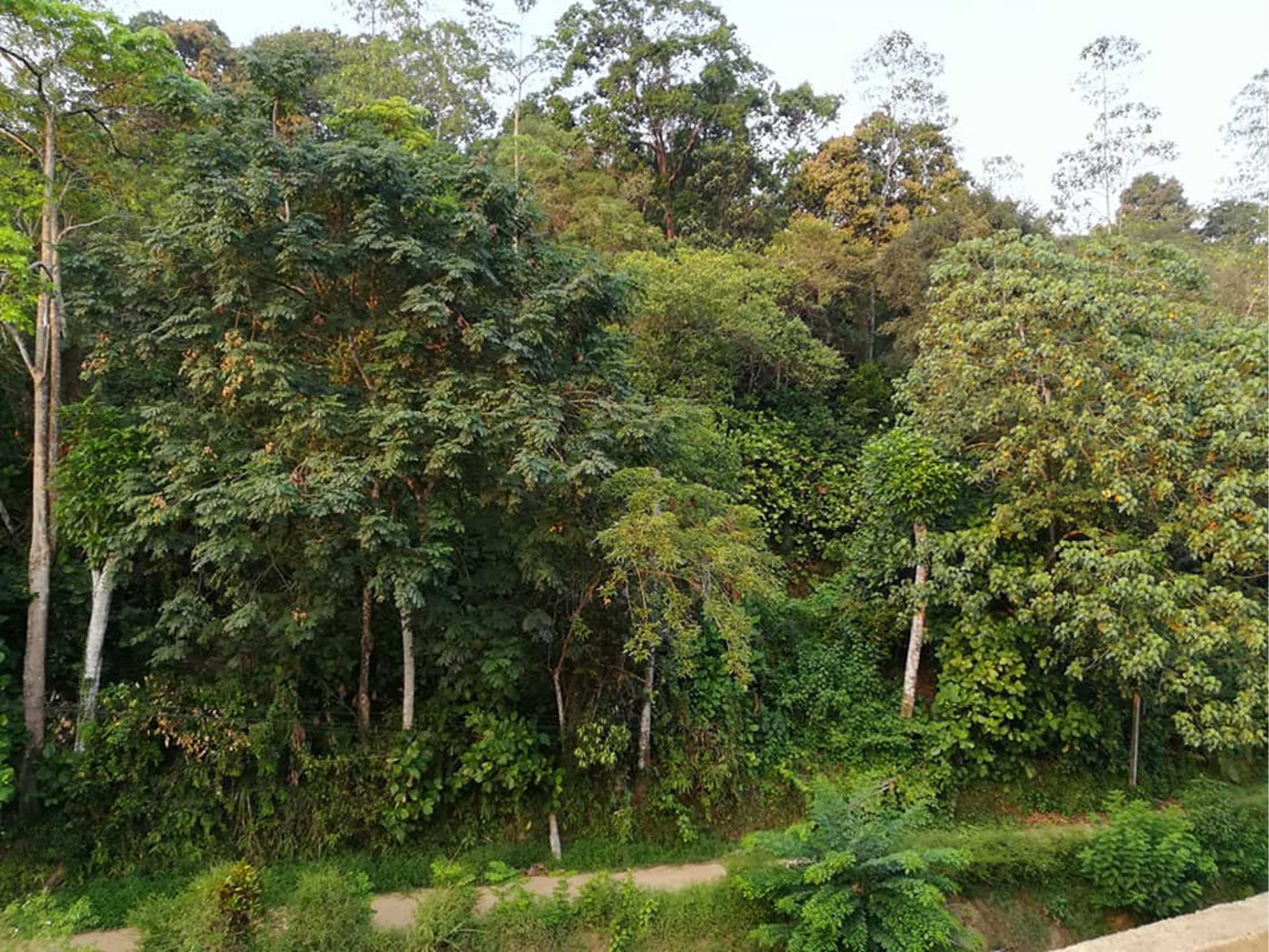 Gift card for Thilini Hotel Apartment