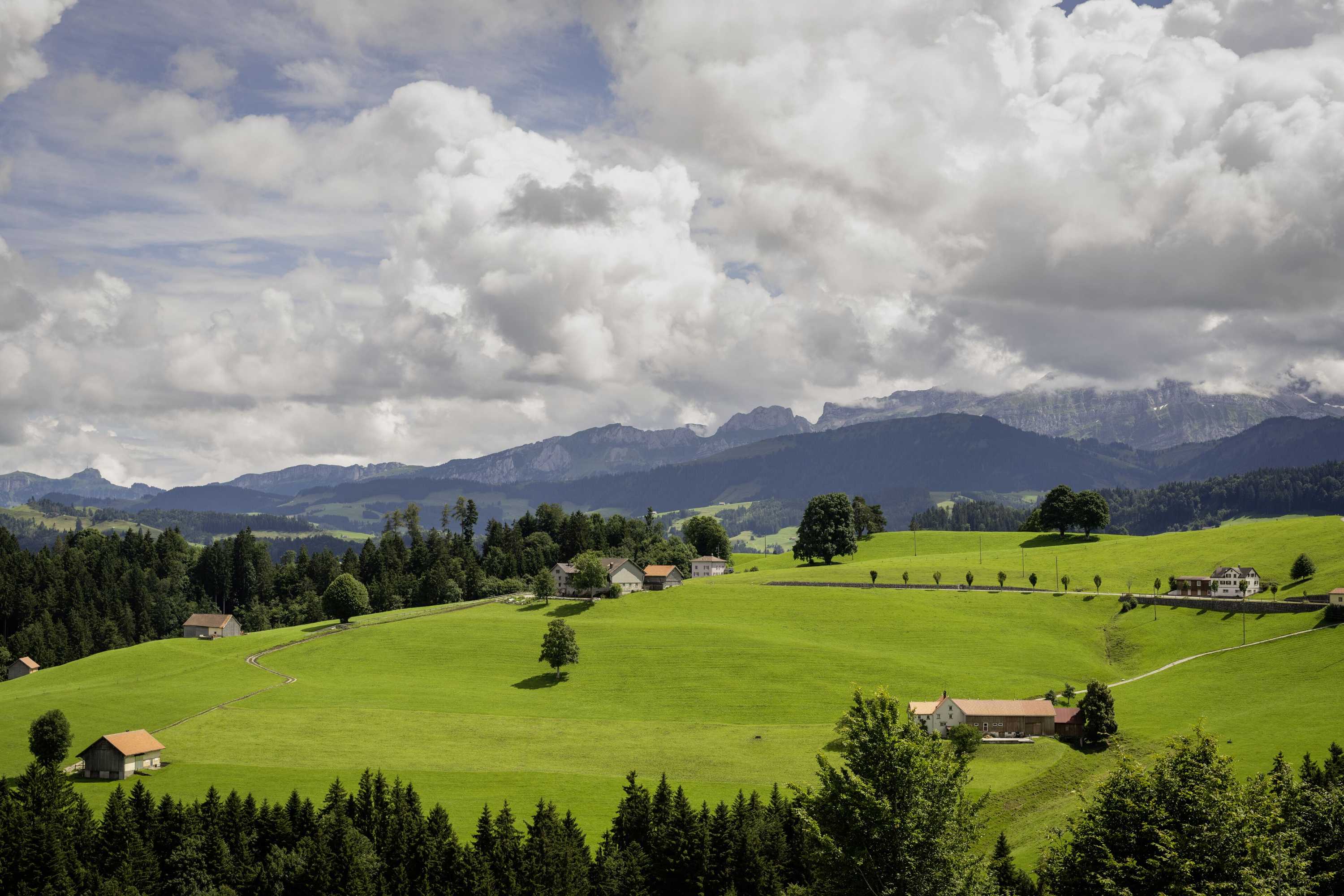 Gift card for Vegan Health Hotel Sonnenberg Gift card for Vegan Health Hotel Sonnenberg