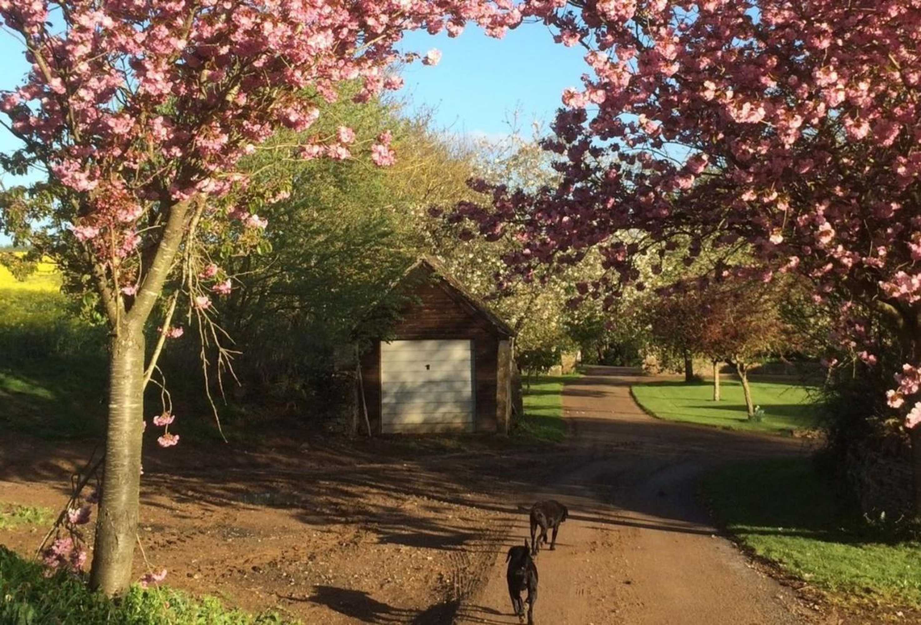 Gift card for Nellies Barn